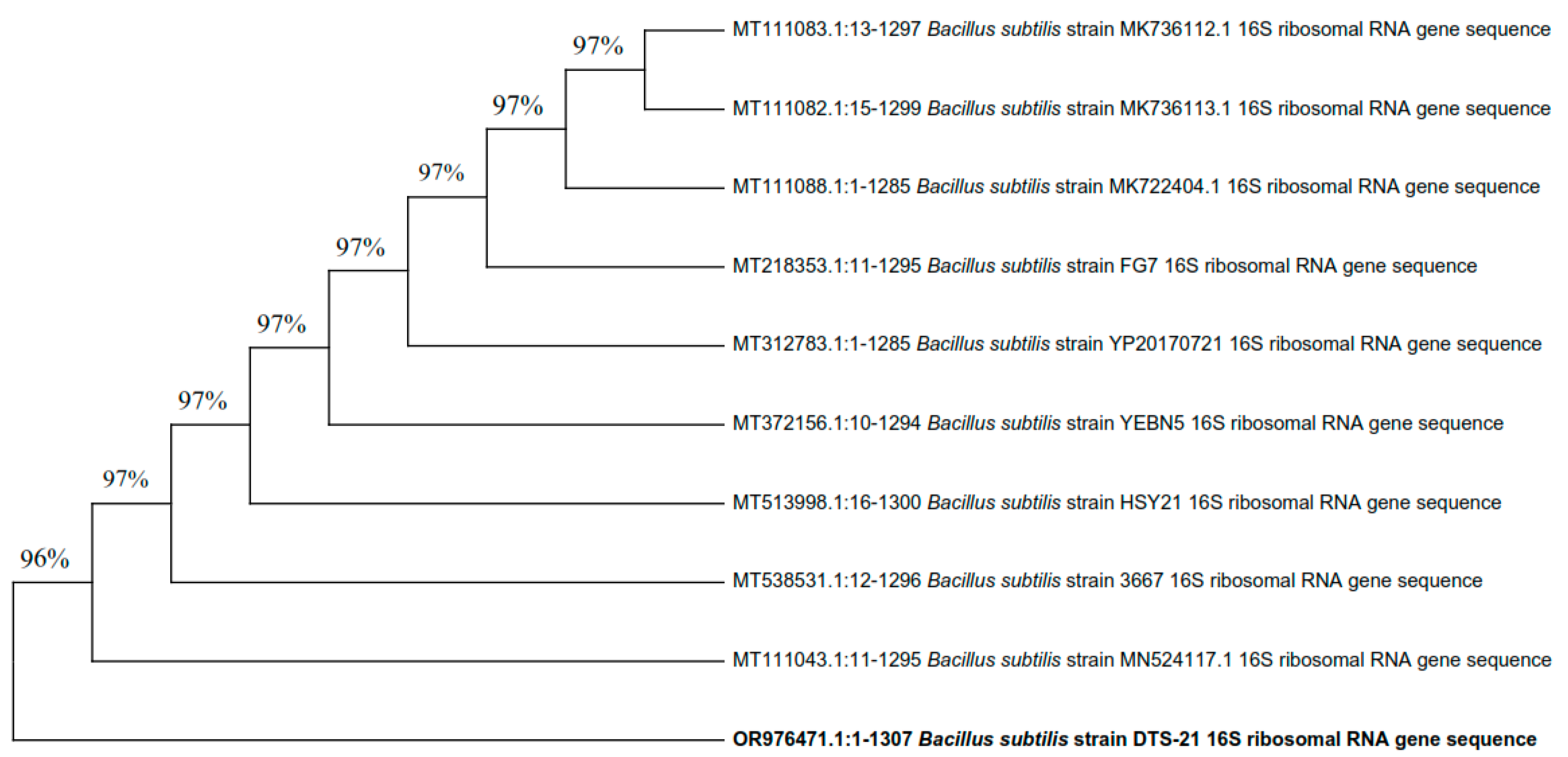 Plants 13 01183 g007