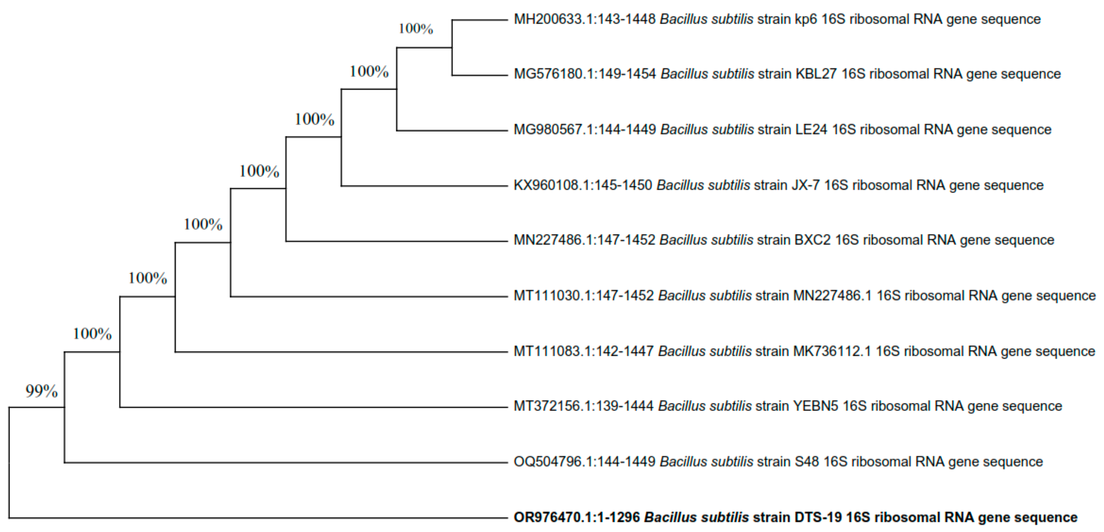 Plants 13 01183 g008