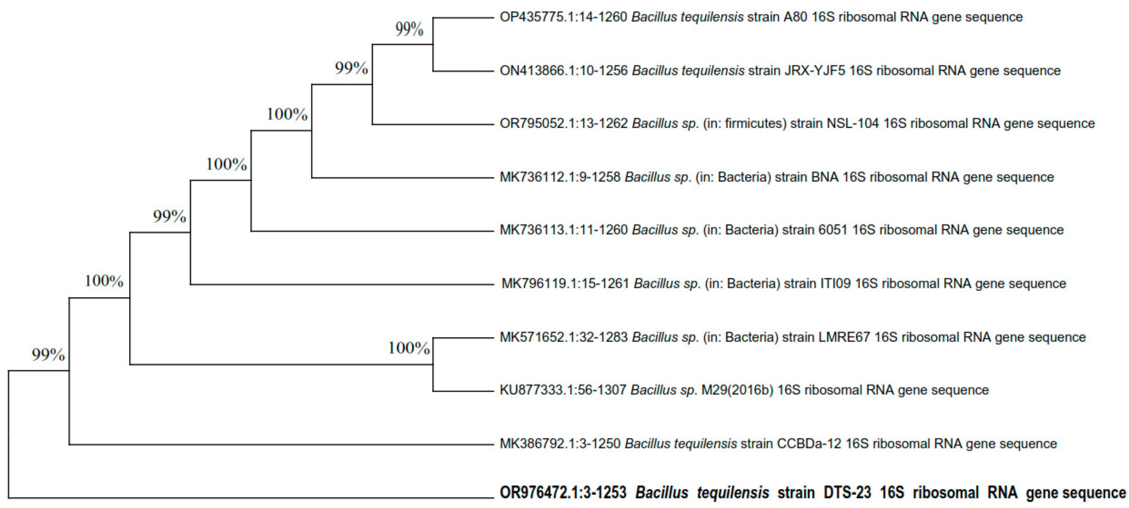 Plants 13 01183 g009