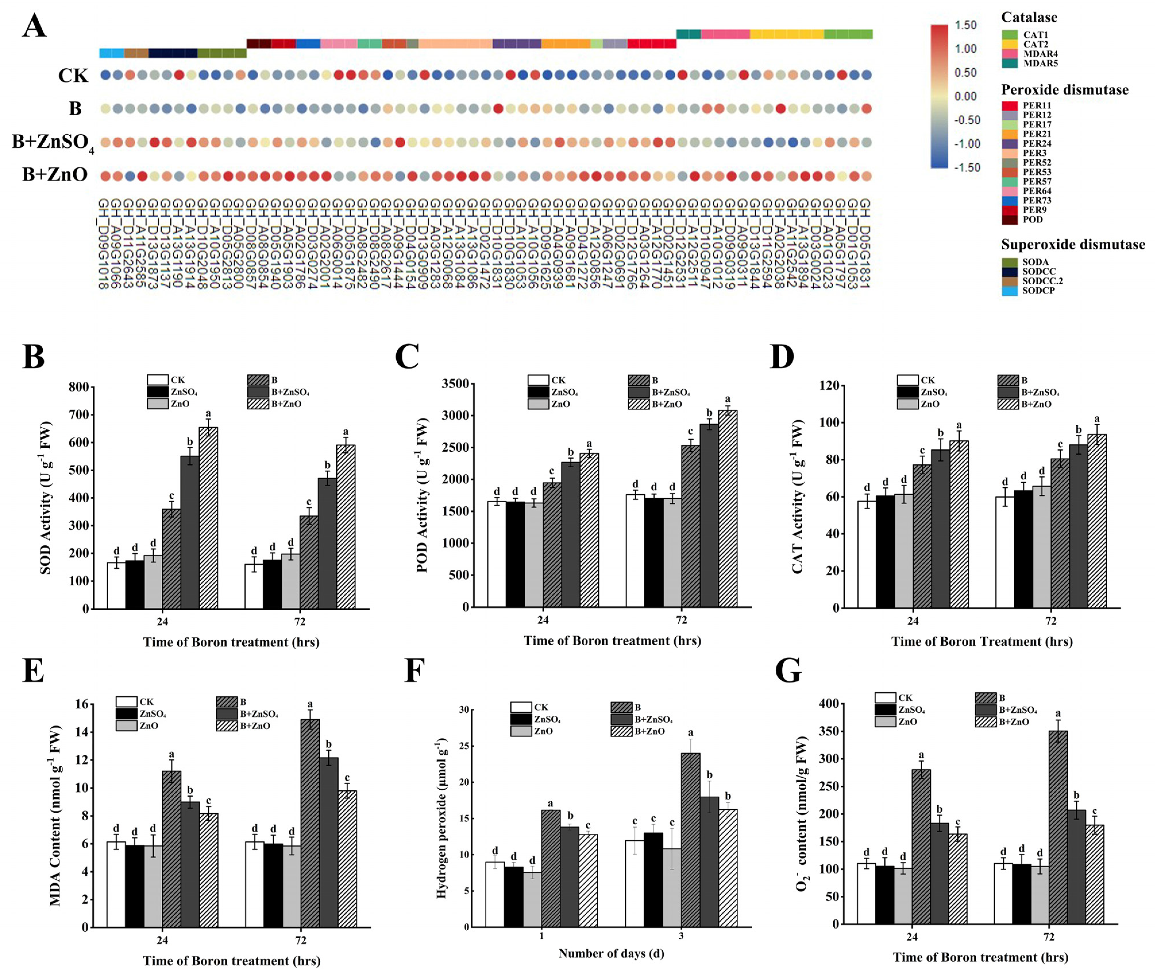 Plants 13 01184 g004