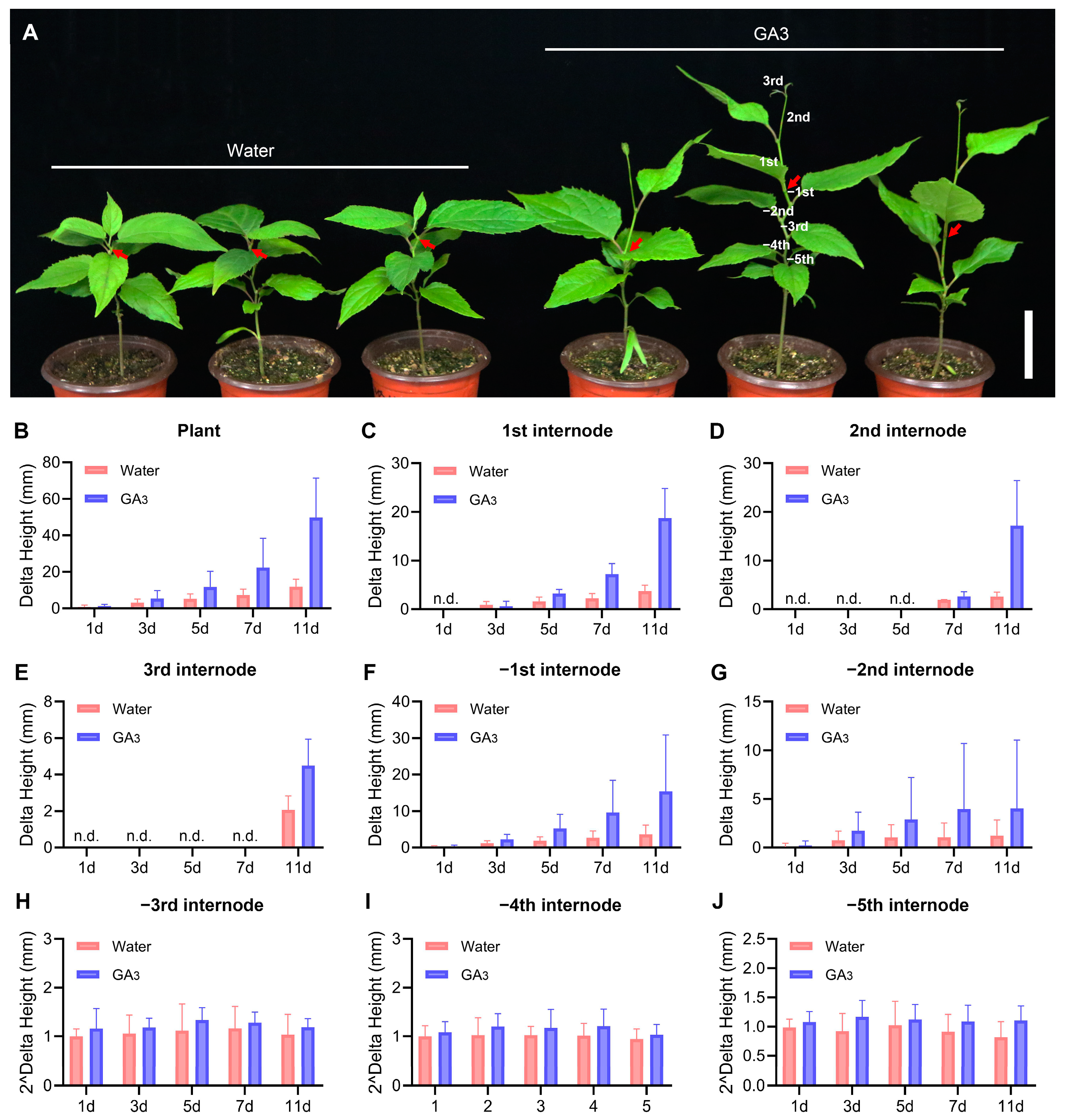 Plants 13 01185 g007 Plants 13 01185 g007