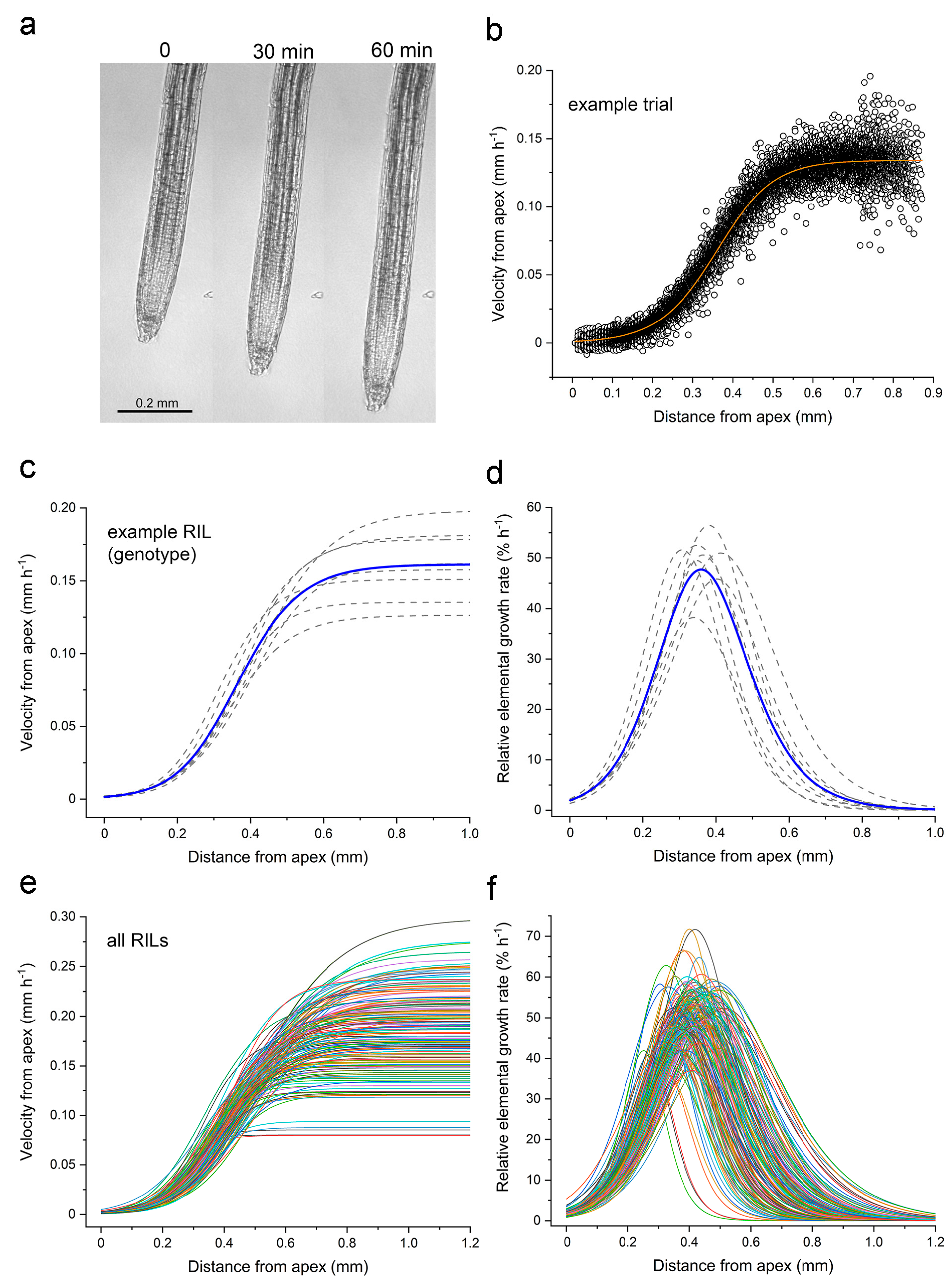 Plants 13 01189 g001