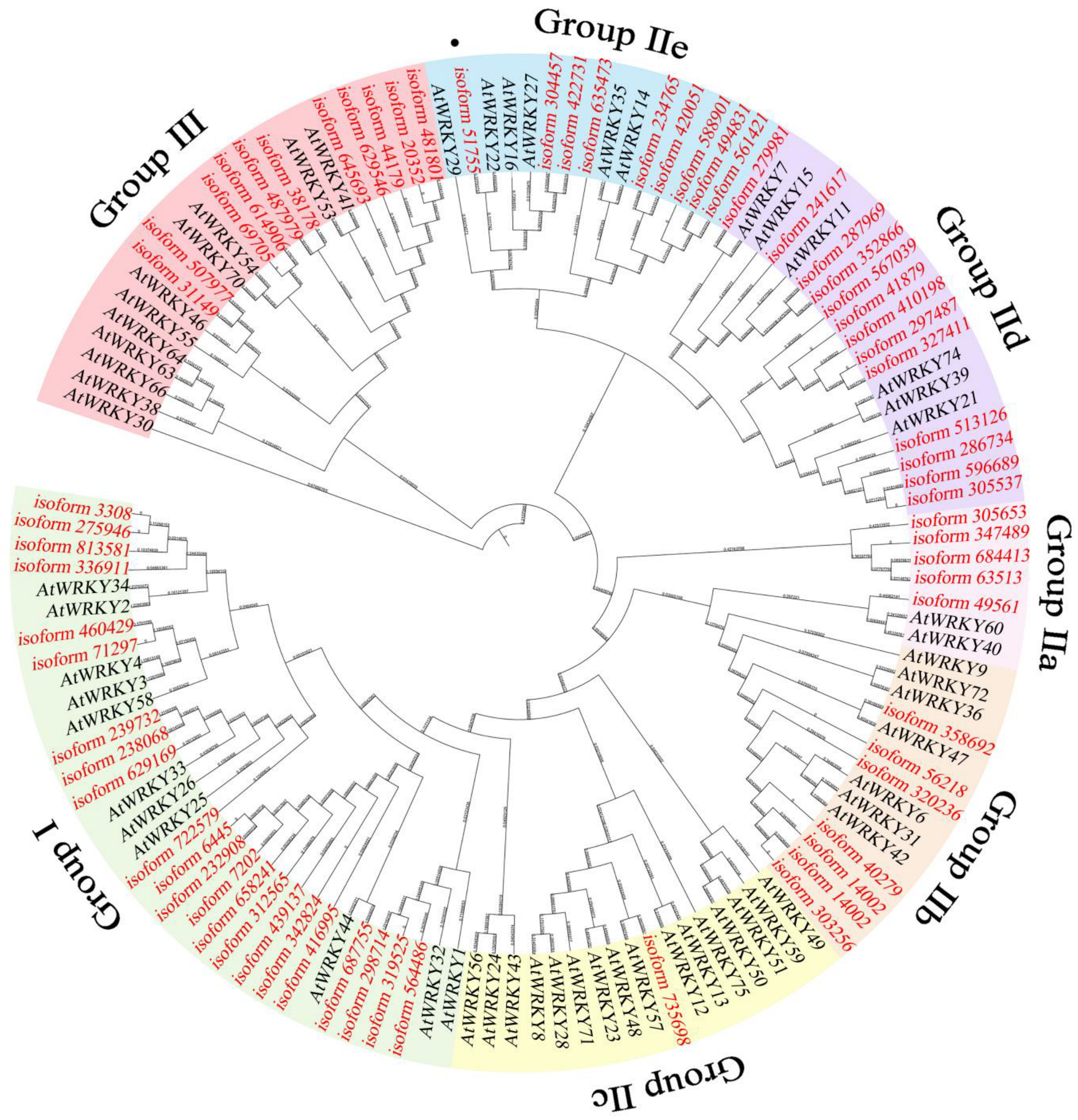 Plants 13 01191 g001