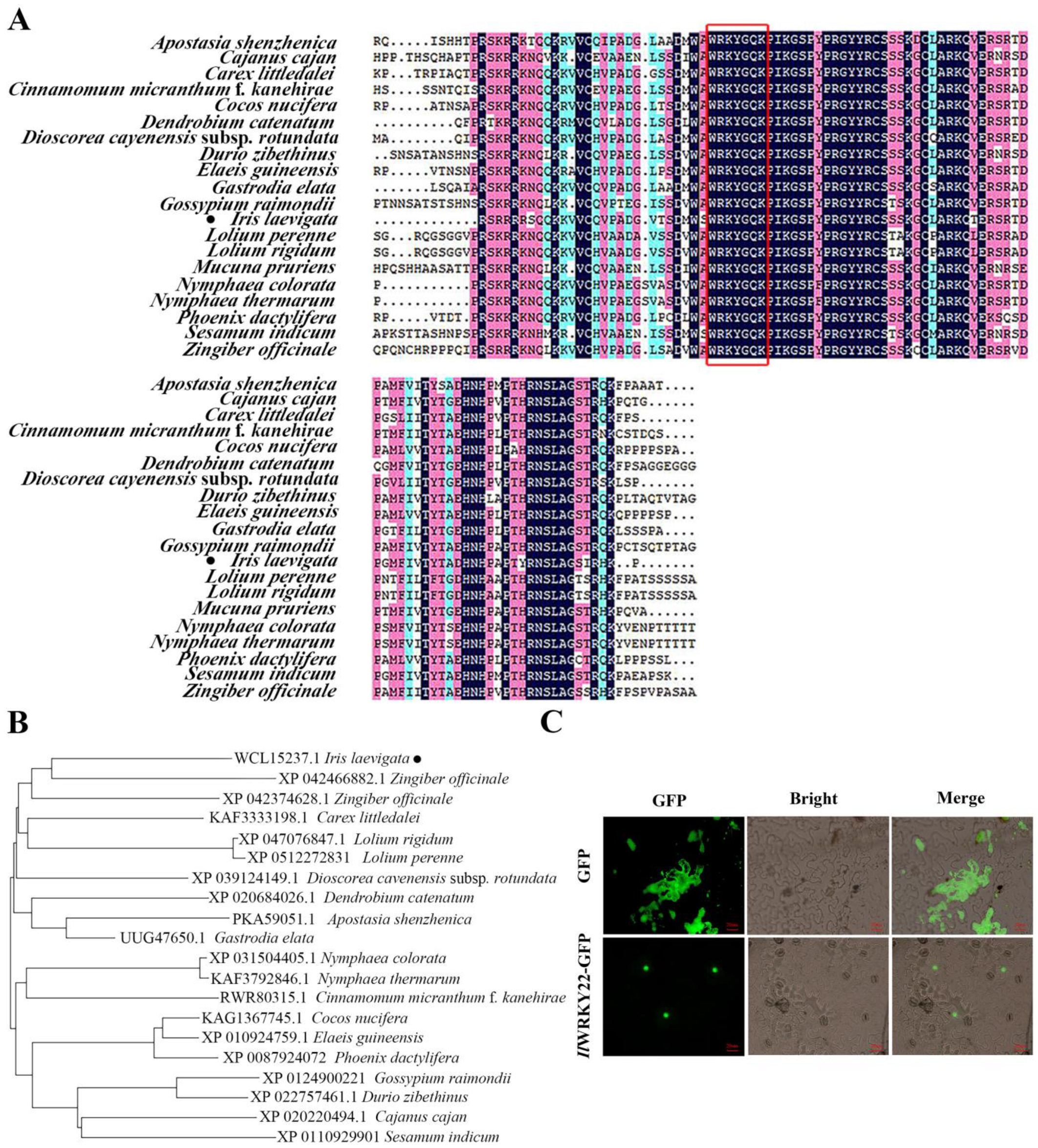 Plants 13 01191 g002