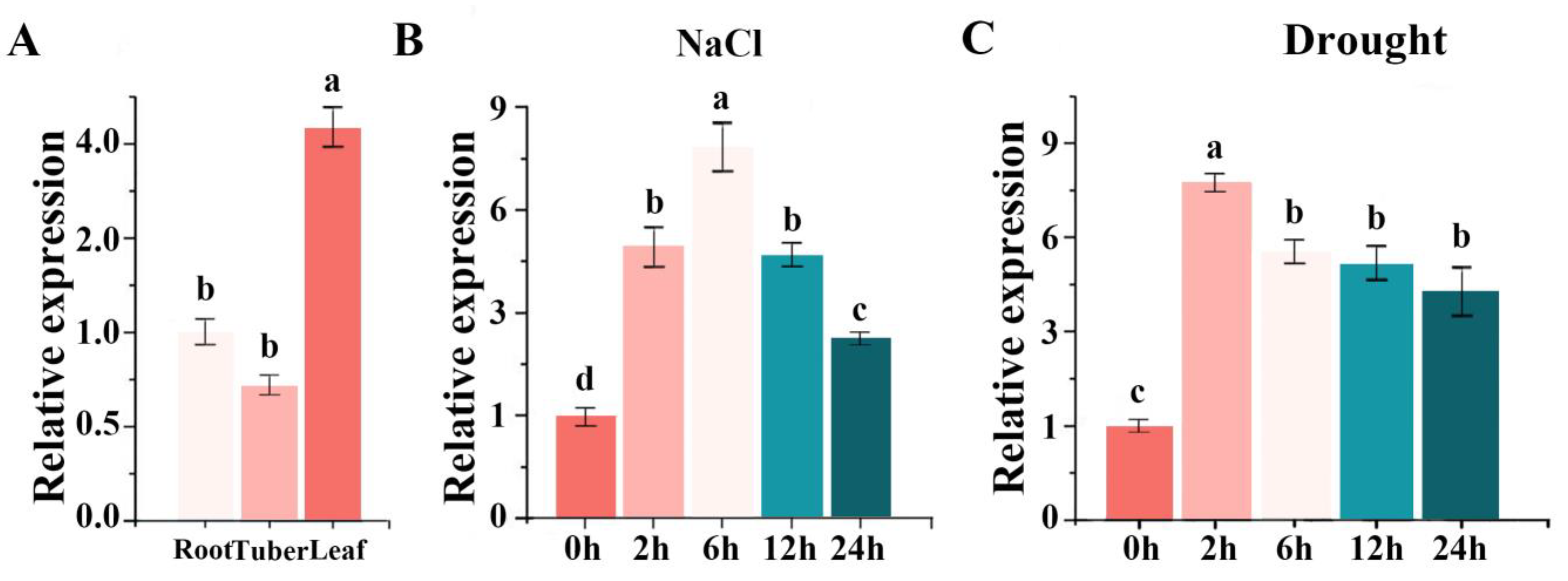 Plants 13 01191 g003