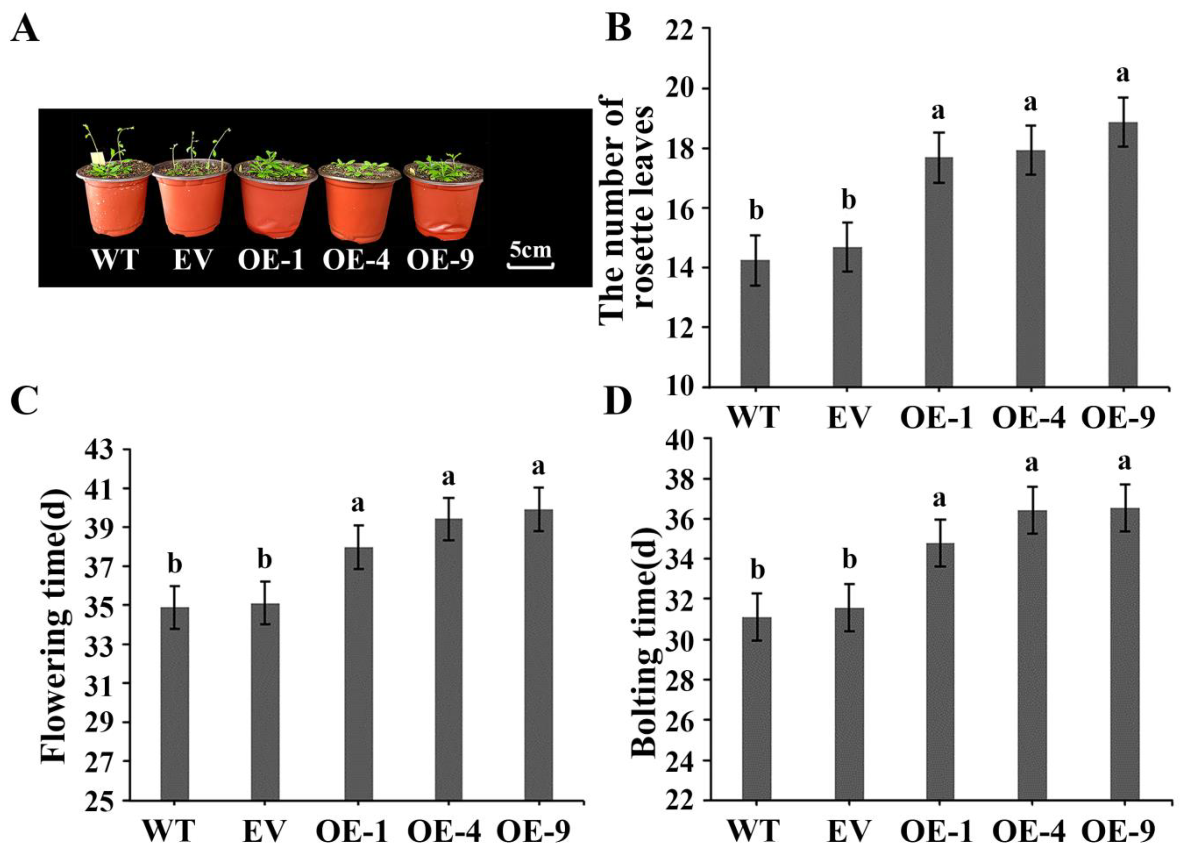 Plants 13 01191 g004