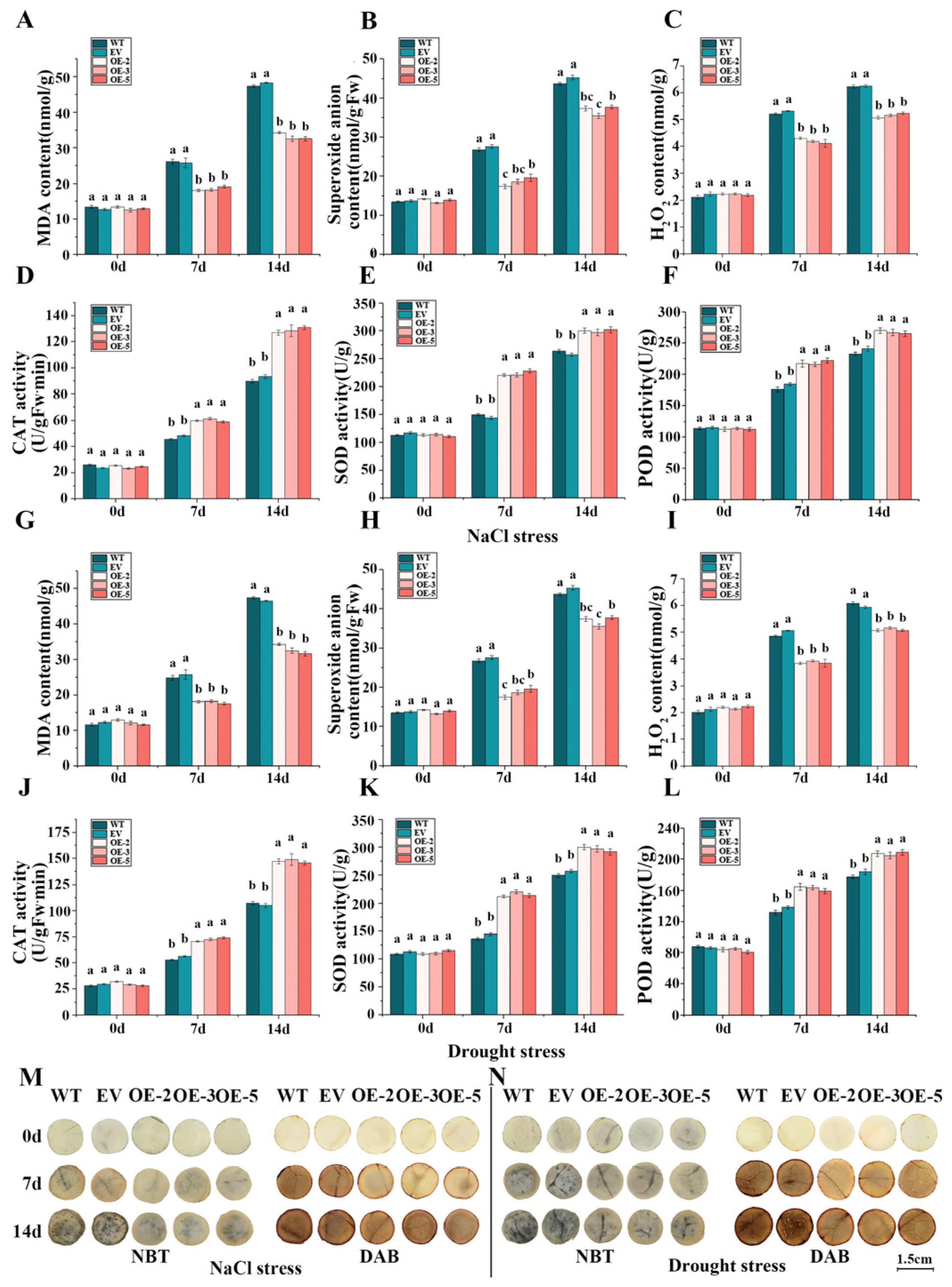 Plants 13 01191 g008