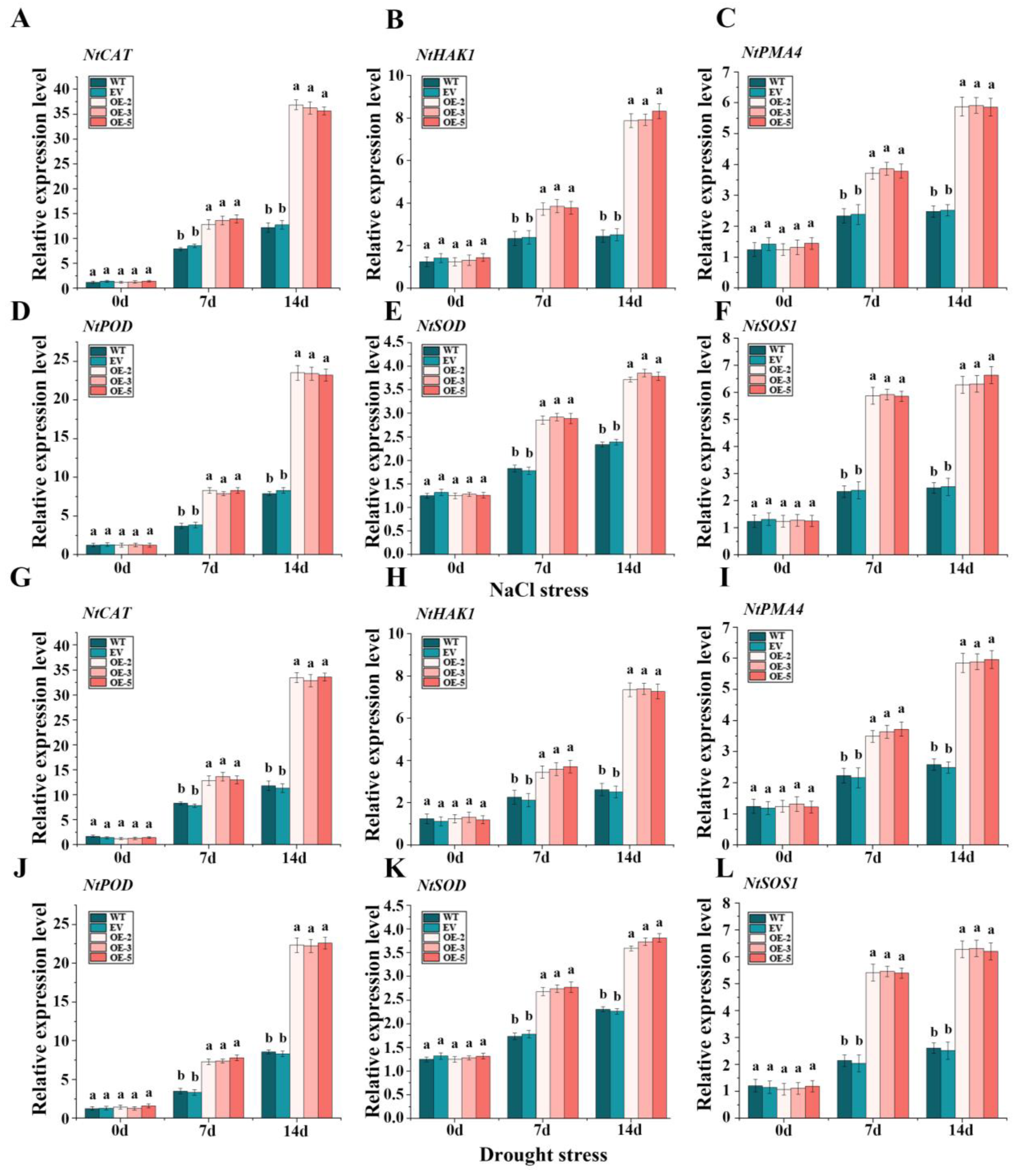 Plants 13 01191 g009