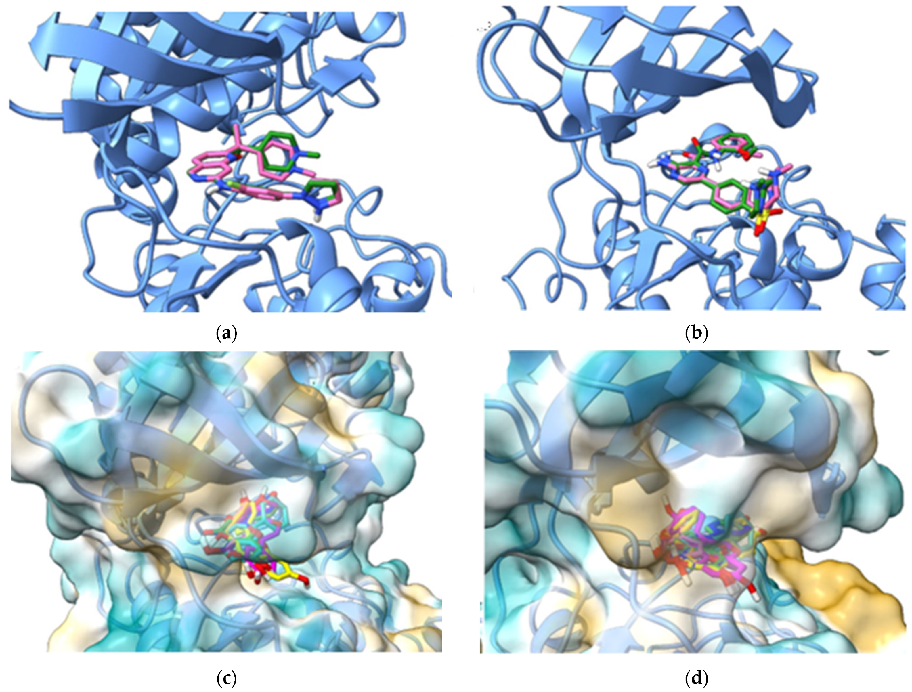 Plants 13 01192 g008