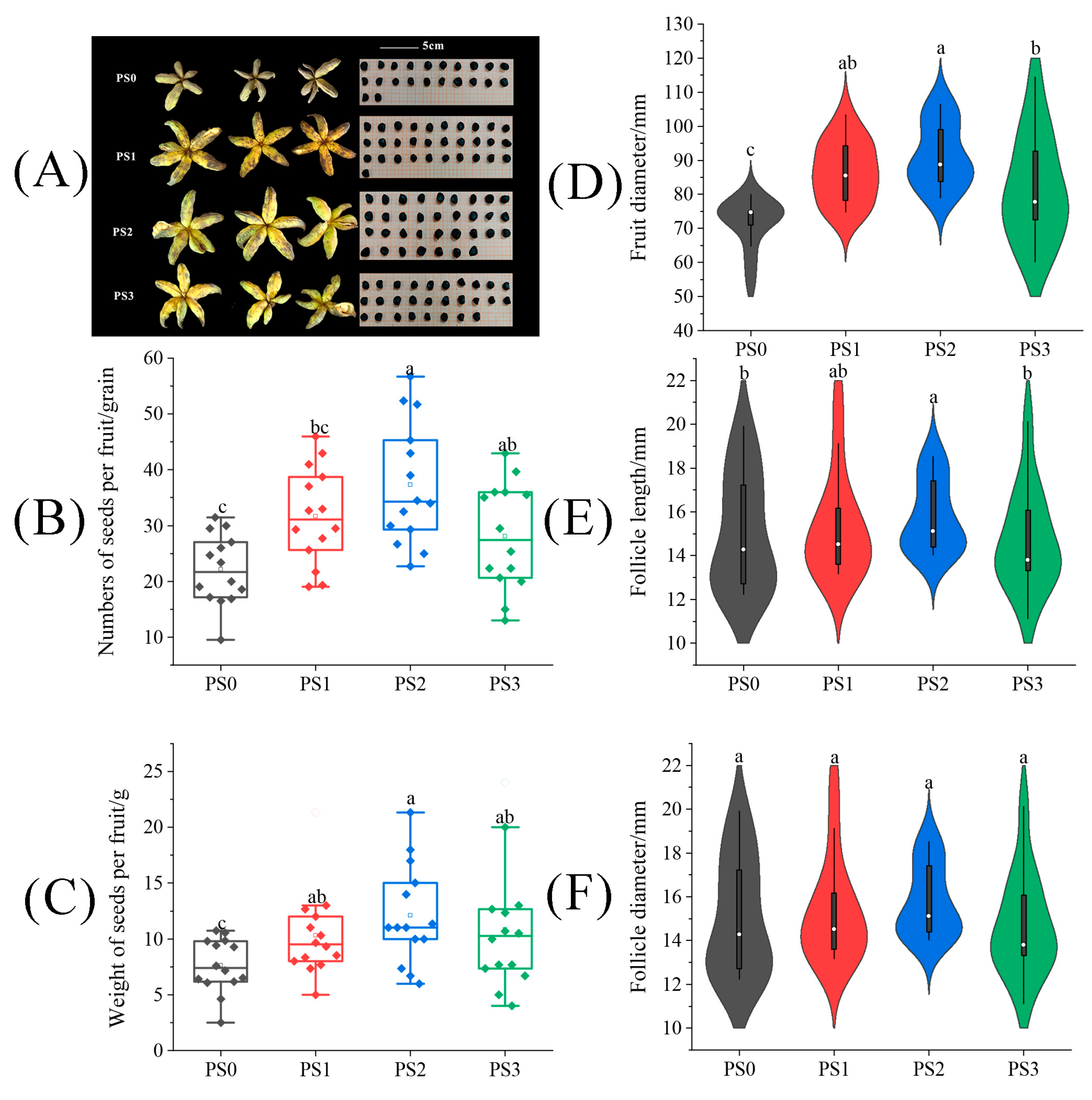 Plants 13 01194 g002