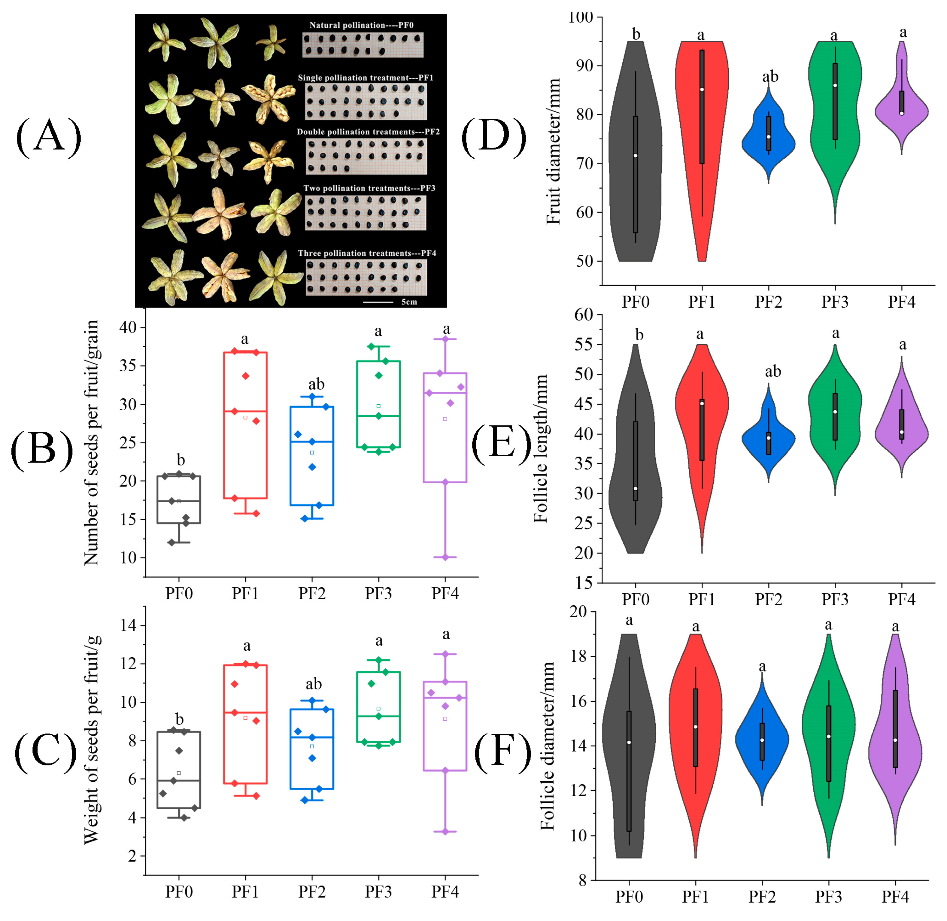 Plants 13 01194 g007