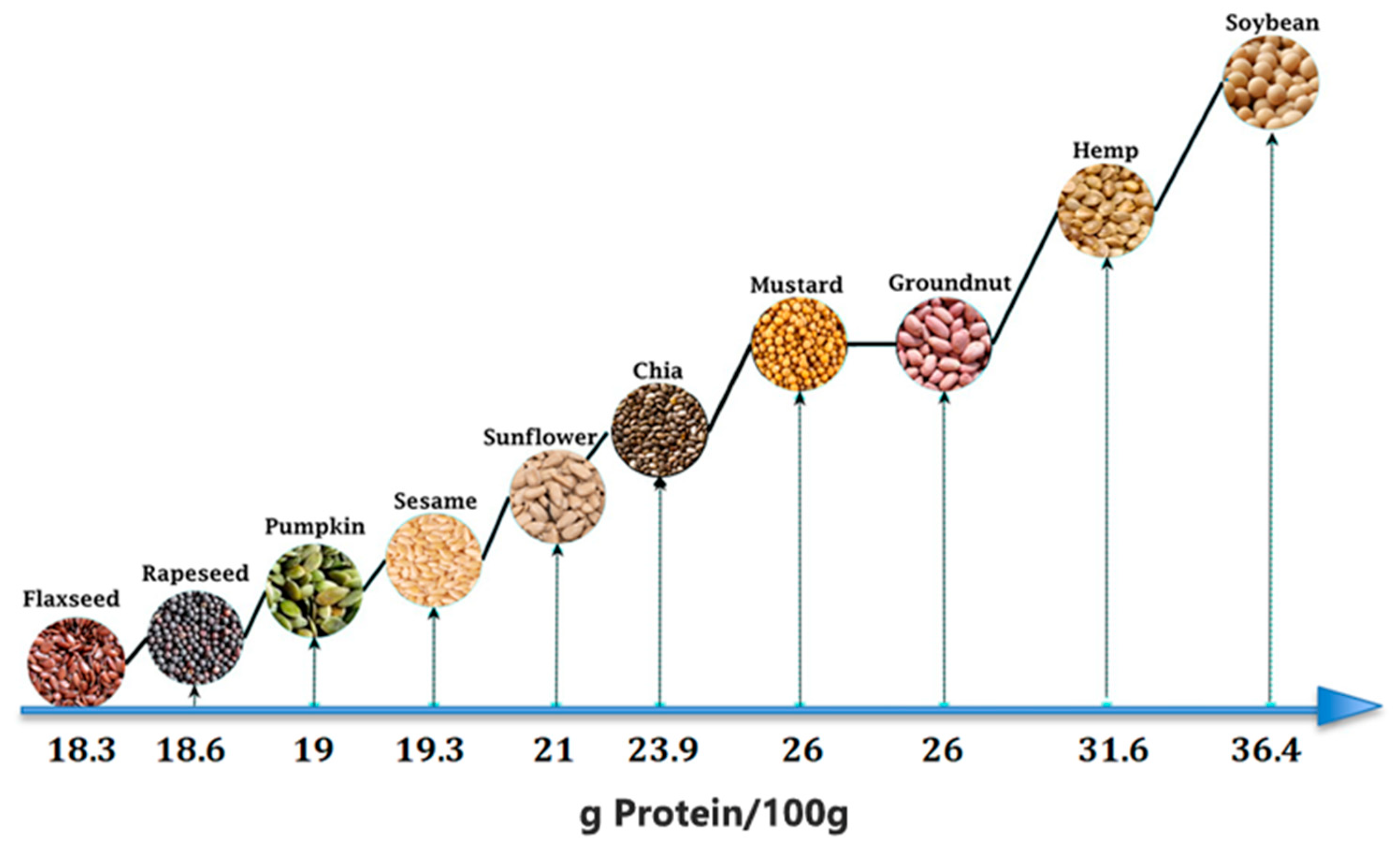 Plants 13 01195 g001