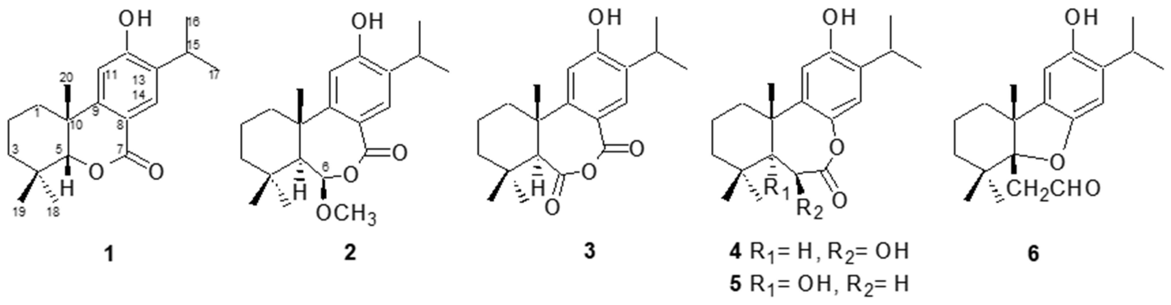 Plants 13 01197 g001