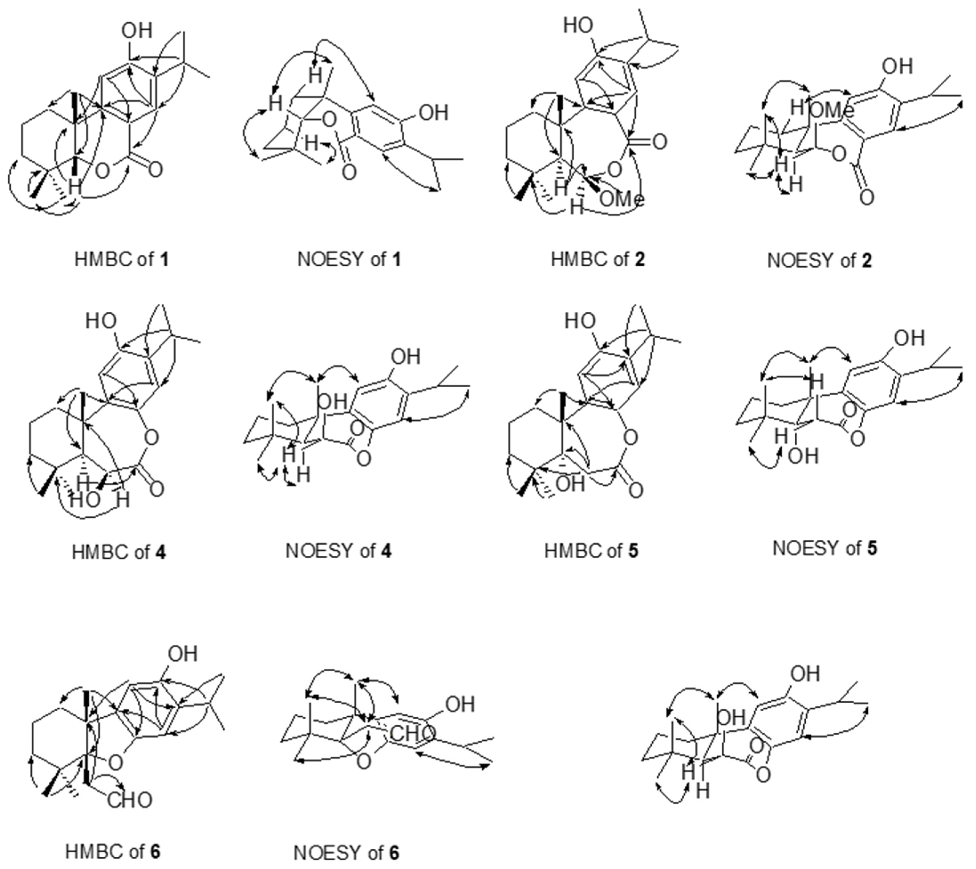 Plants 13 01197 g002