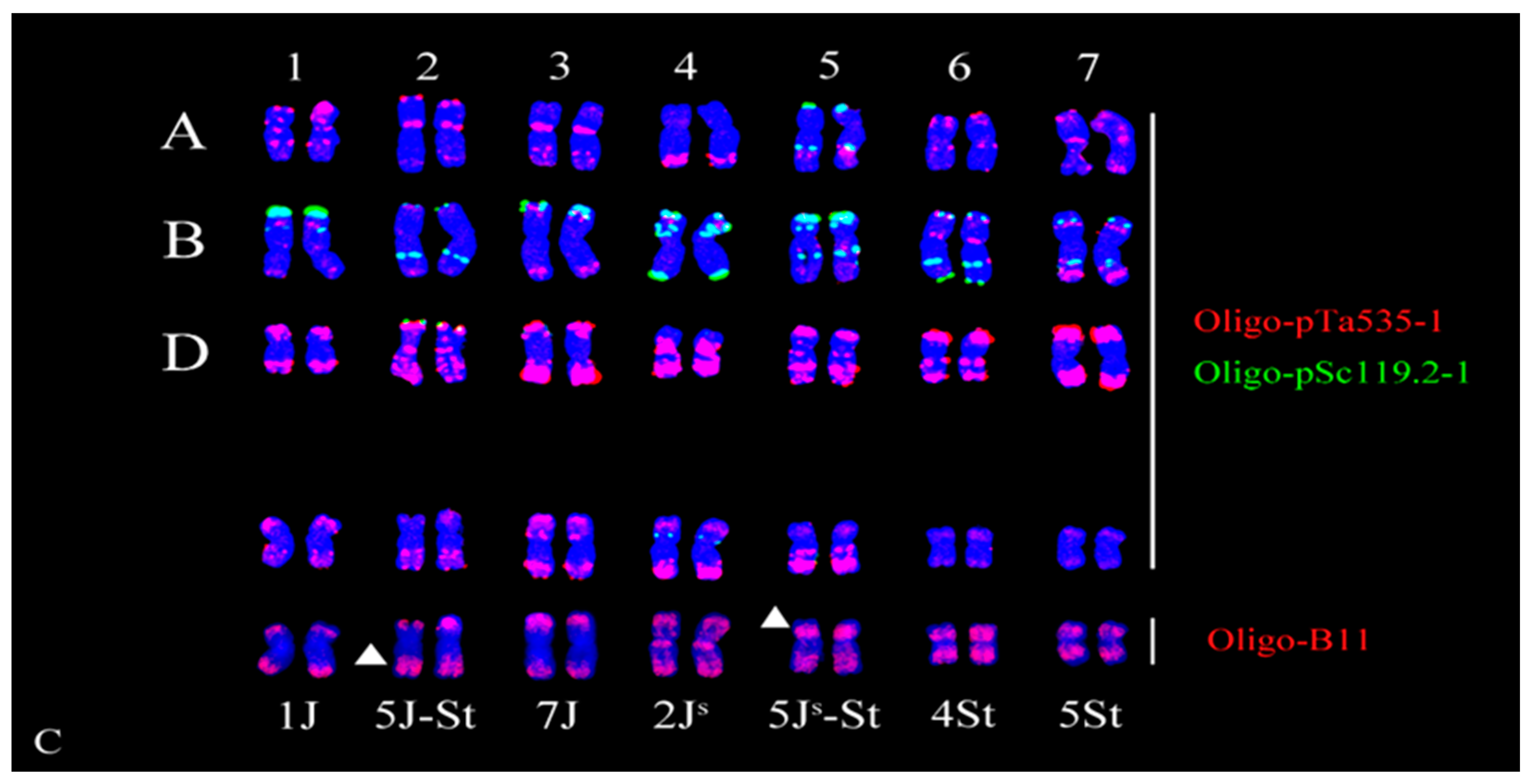 Plants 13 01198 g001b