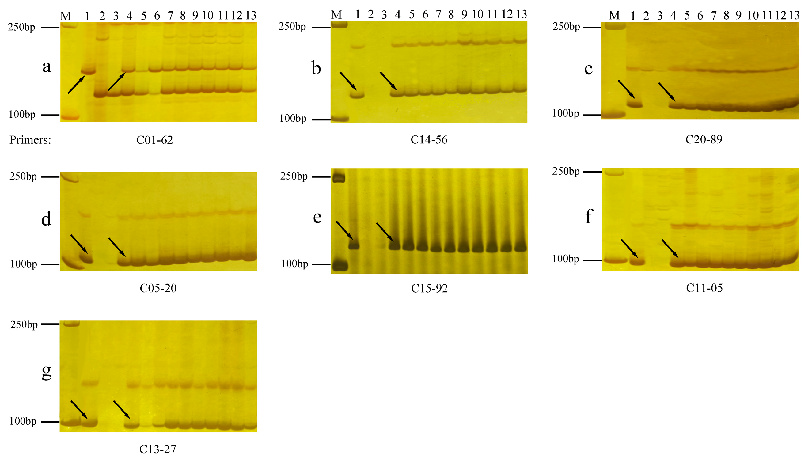 Plants 13 01198 g003