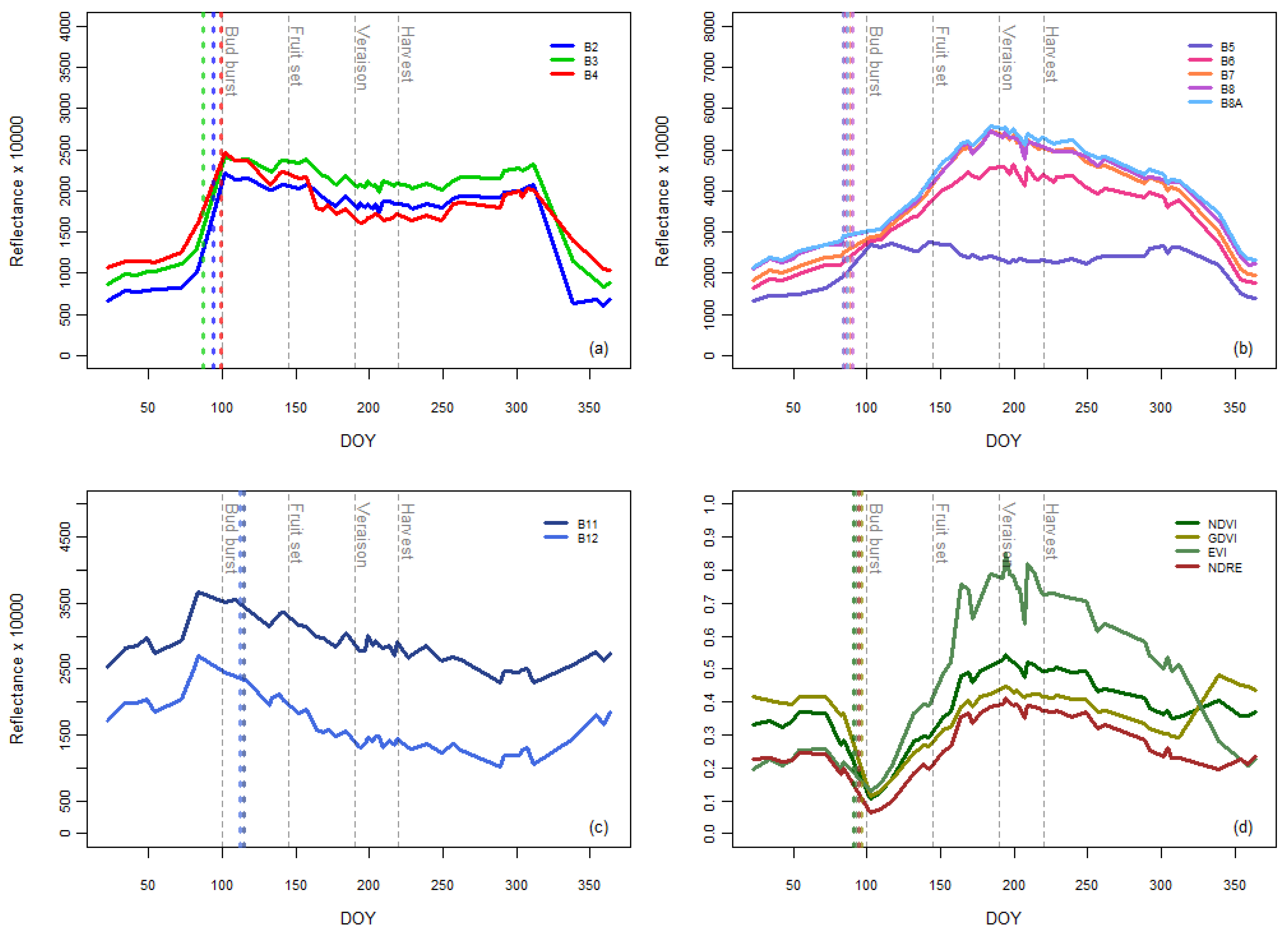 Plants 13 01203 g003