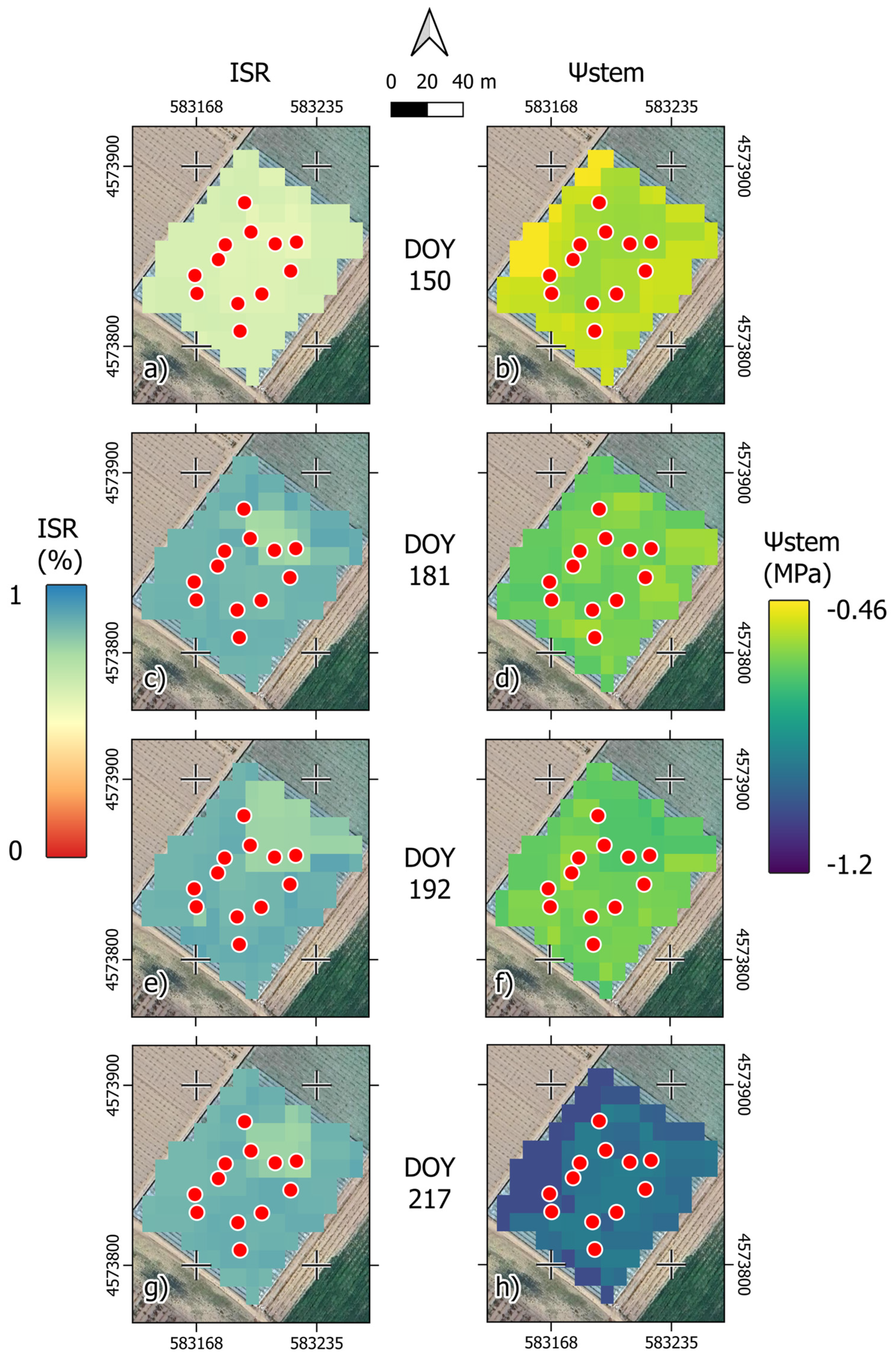 Plants 13 01203 g004