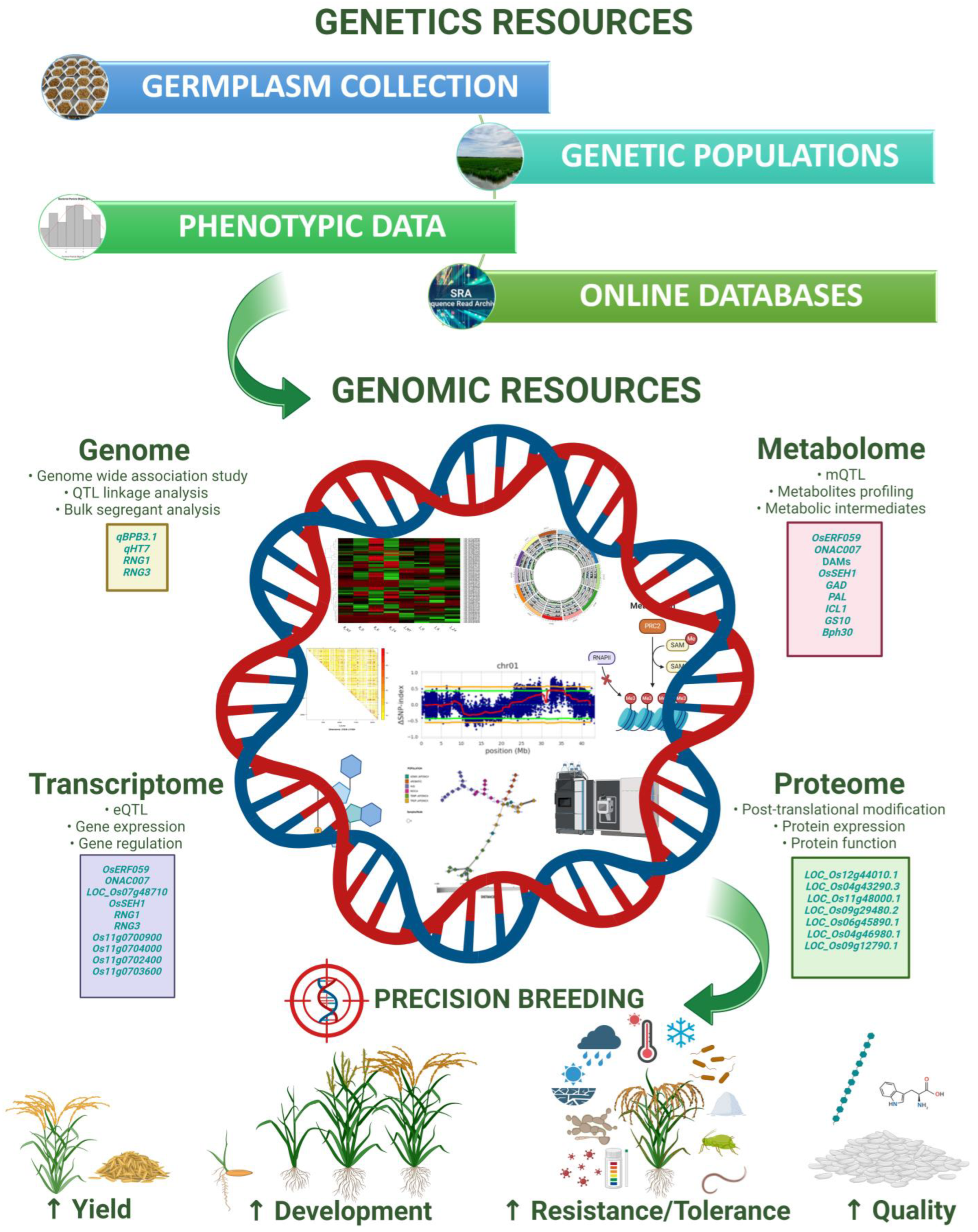 Plants 13 01205 g001