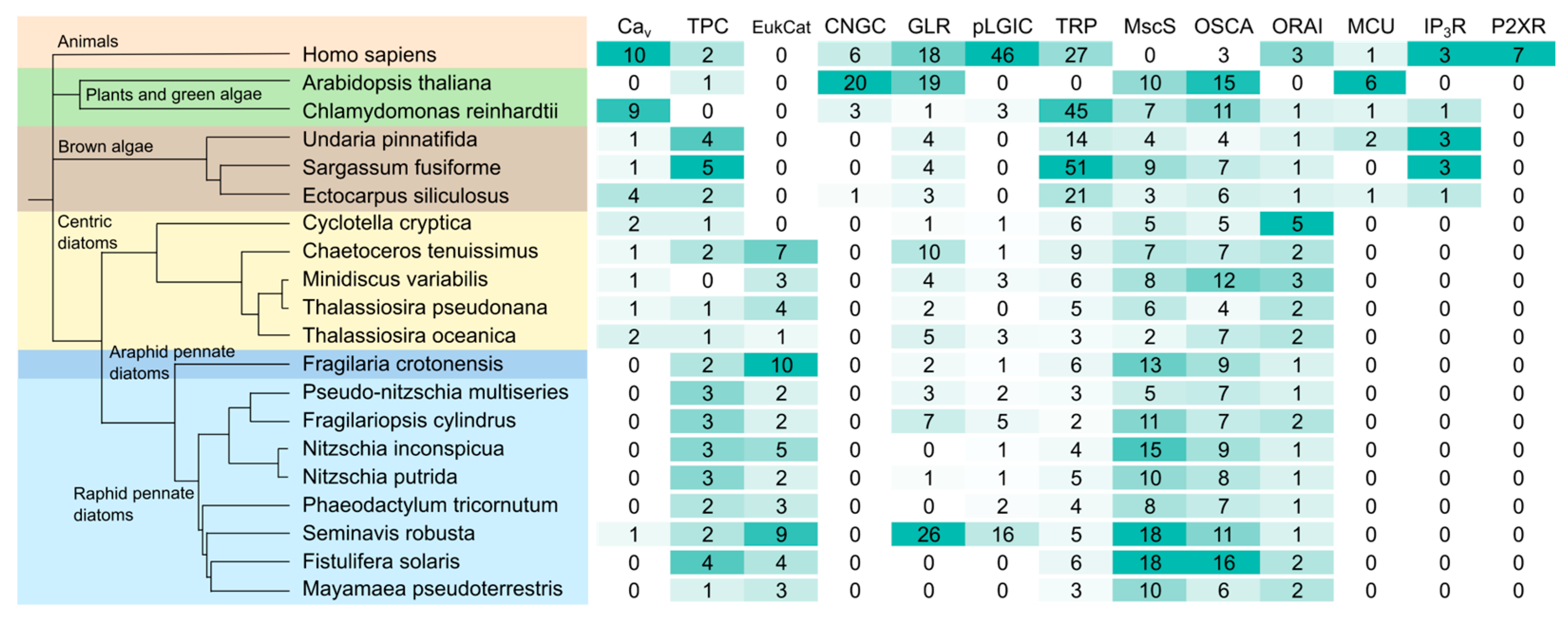 Plants 13 01207 g001