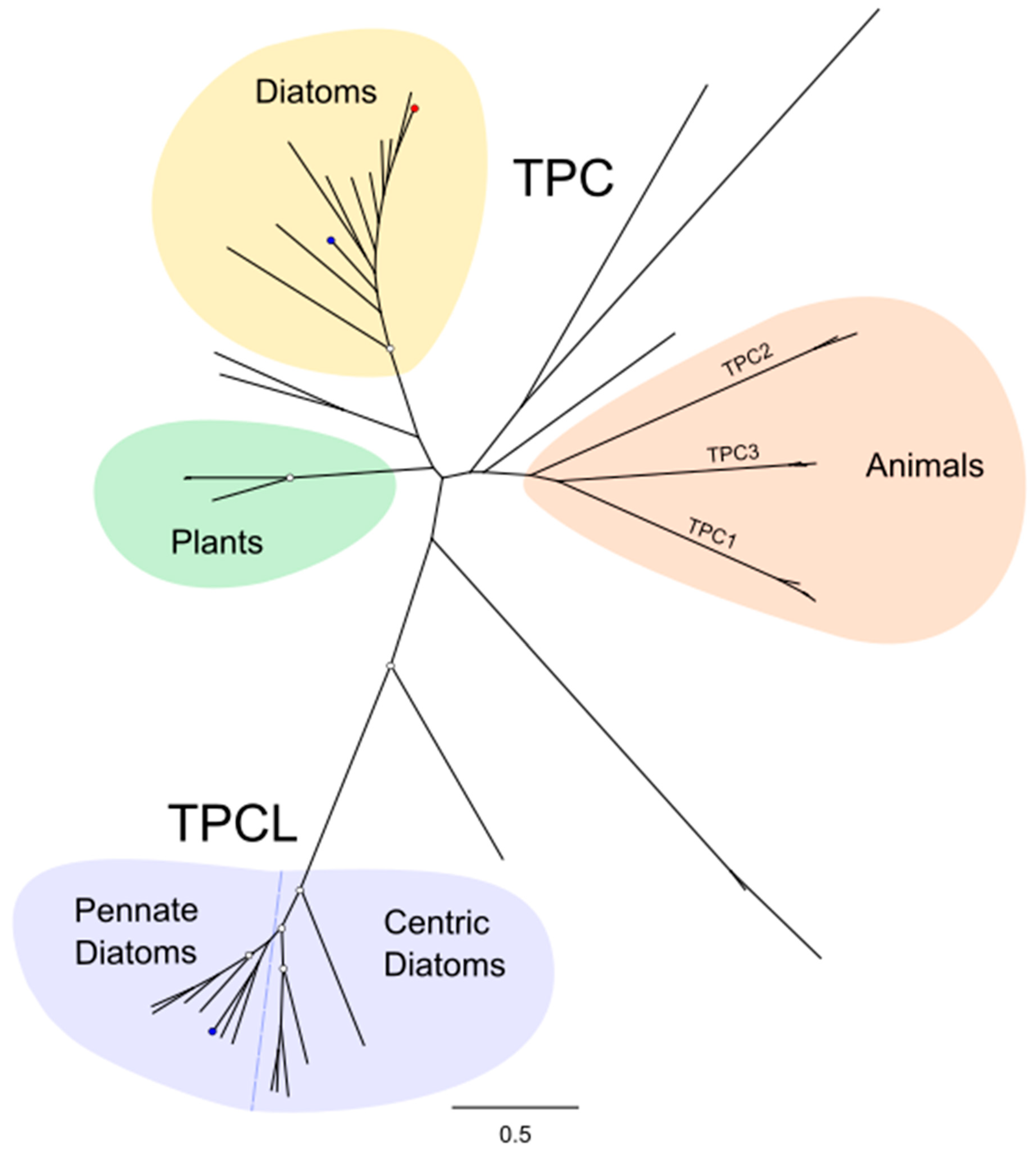 Plants 13 01207 g002