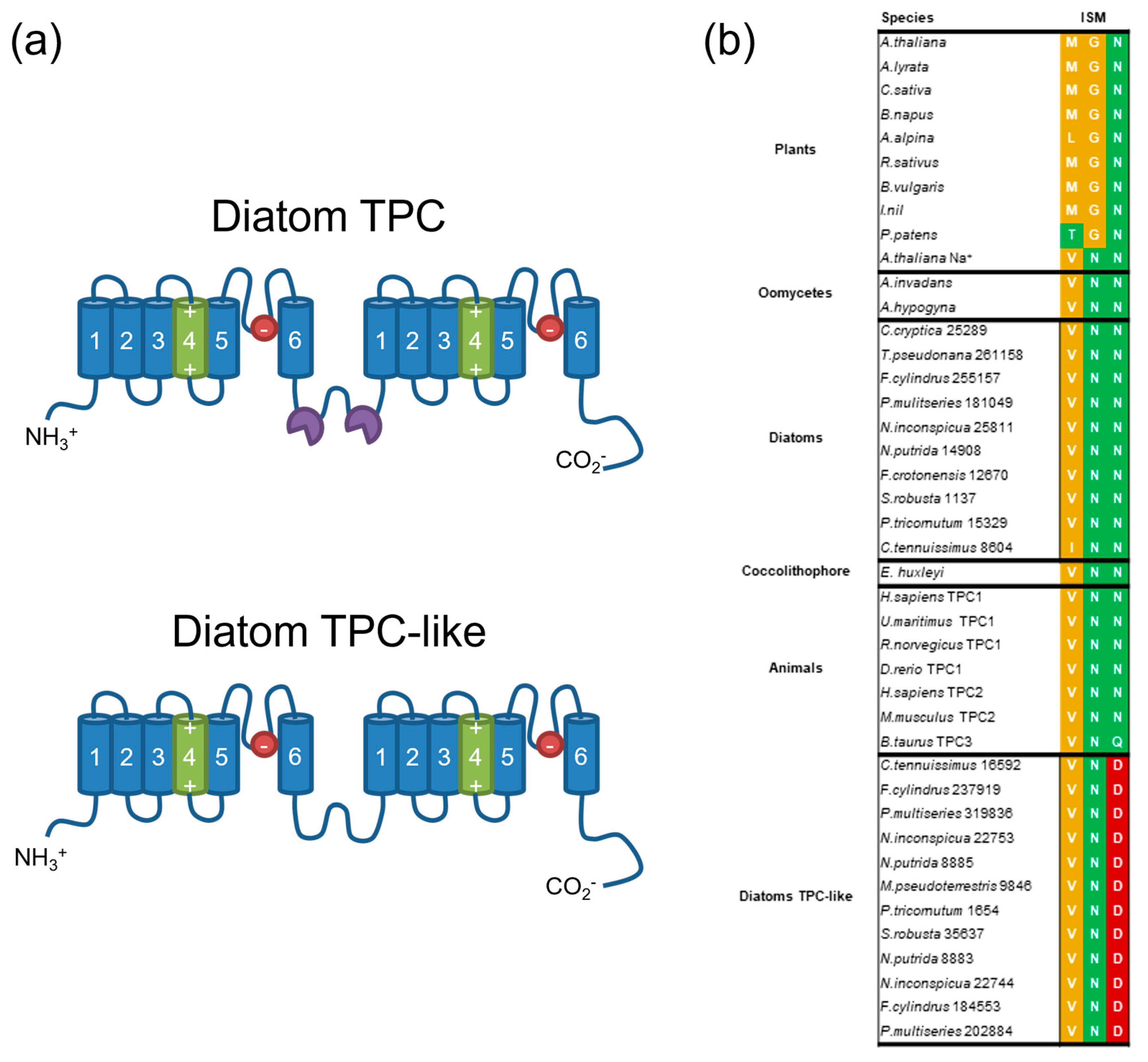 Plants 13 01207 g003
