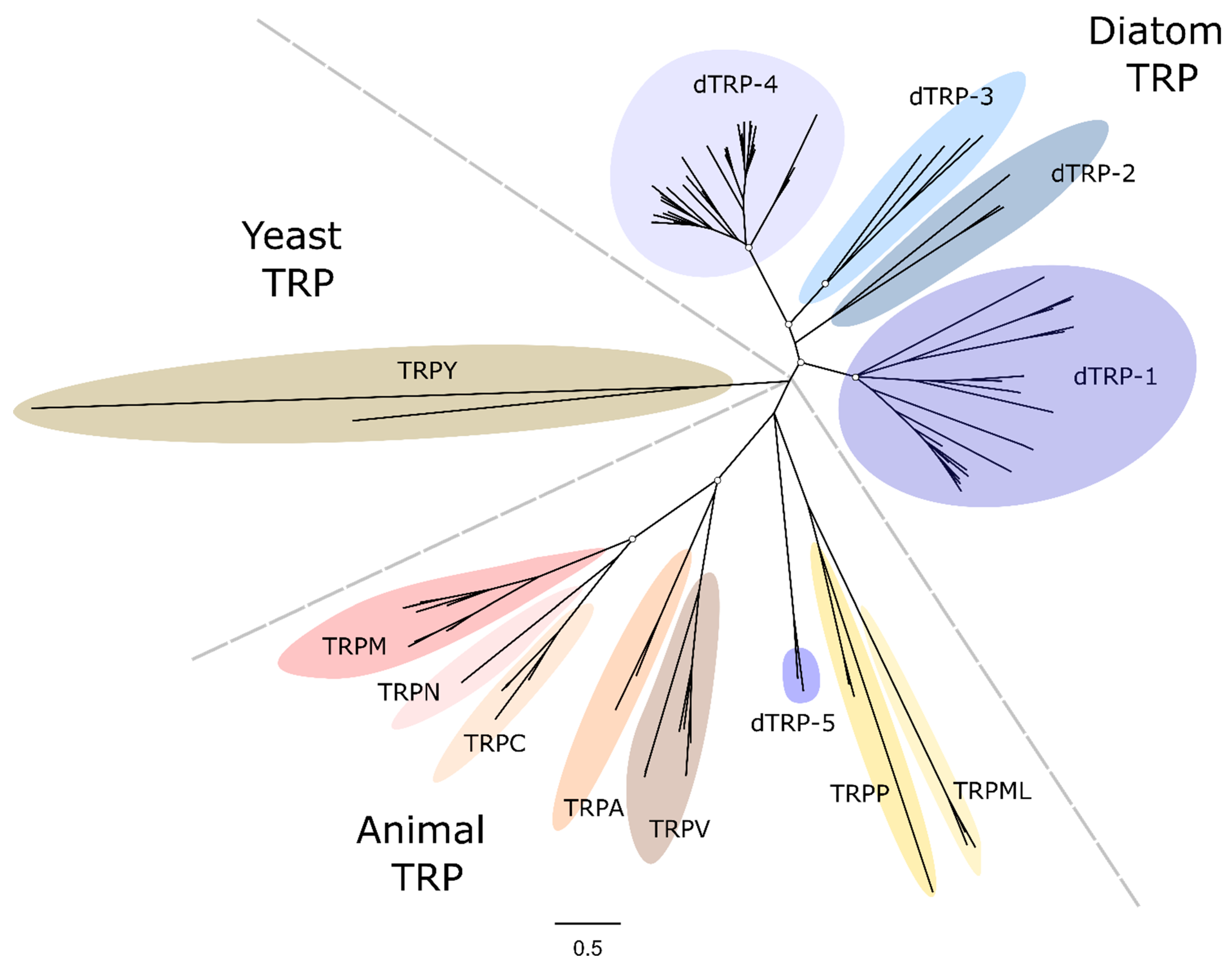 Plants 13 01207 g005