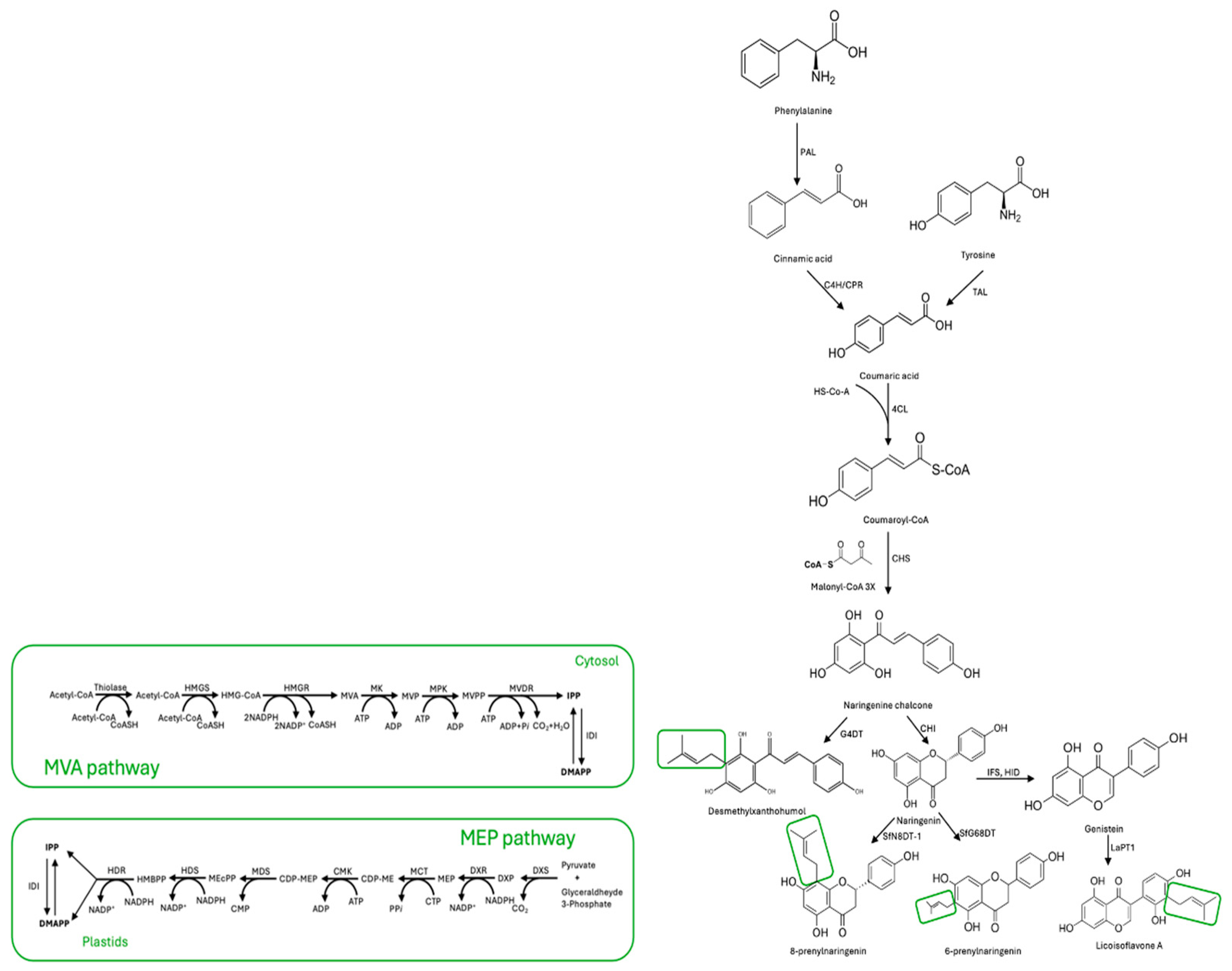 Plants 13 01211 g001 Plants 13 01211 g001