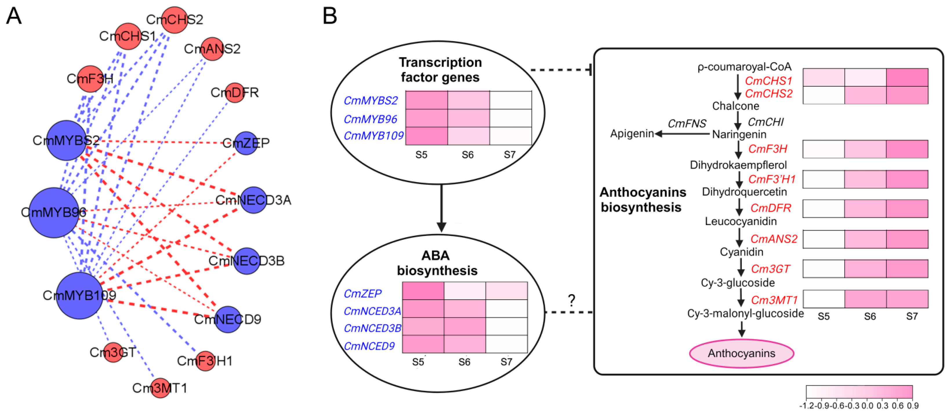 Plants 13 01221 g005