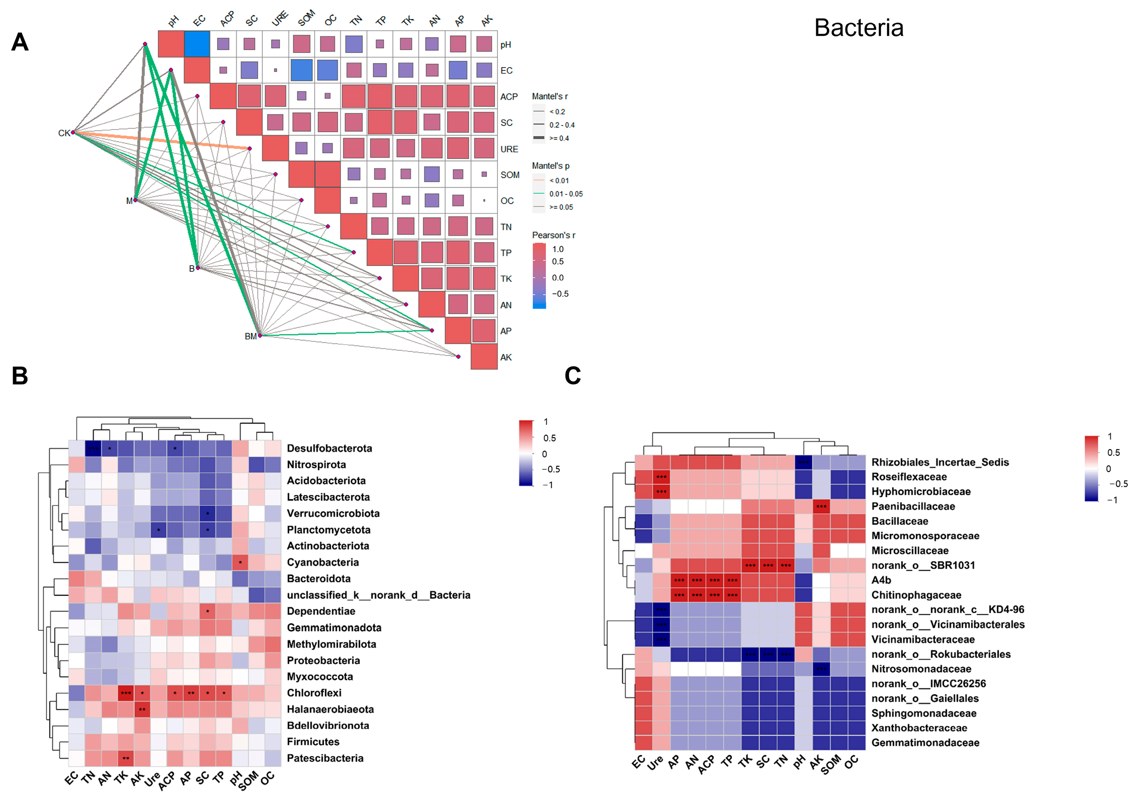 Plants 13 01226 g007