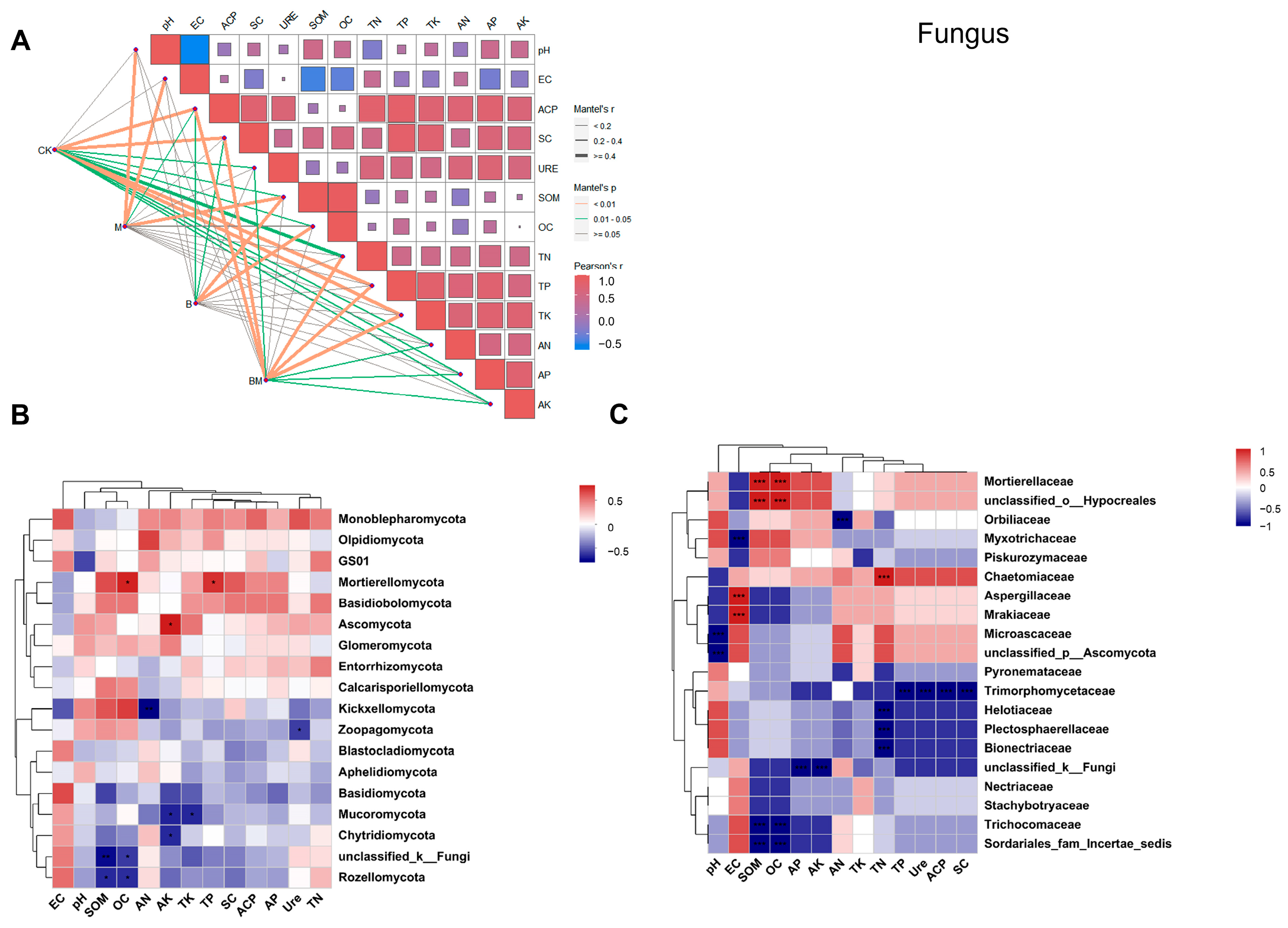 Plants 13 01226 g008