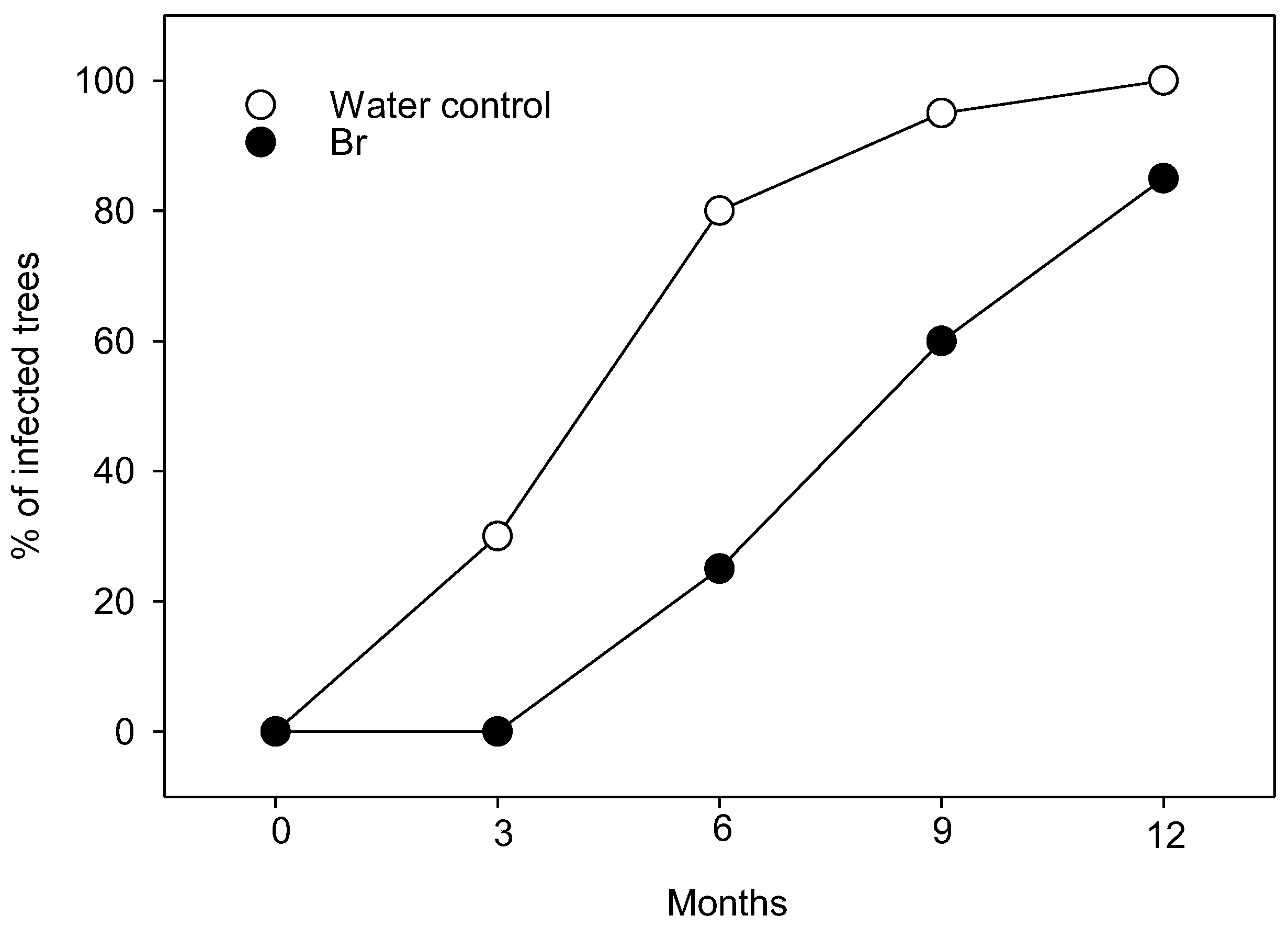 Plants 13 01229 g001
