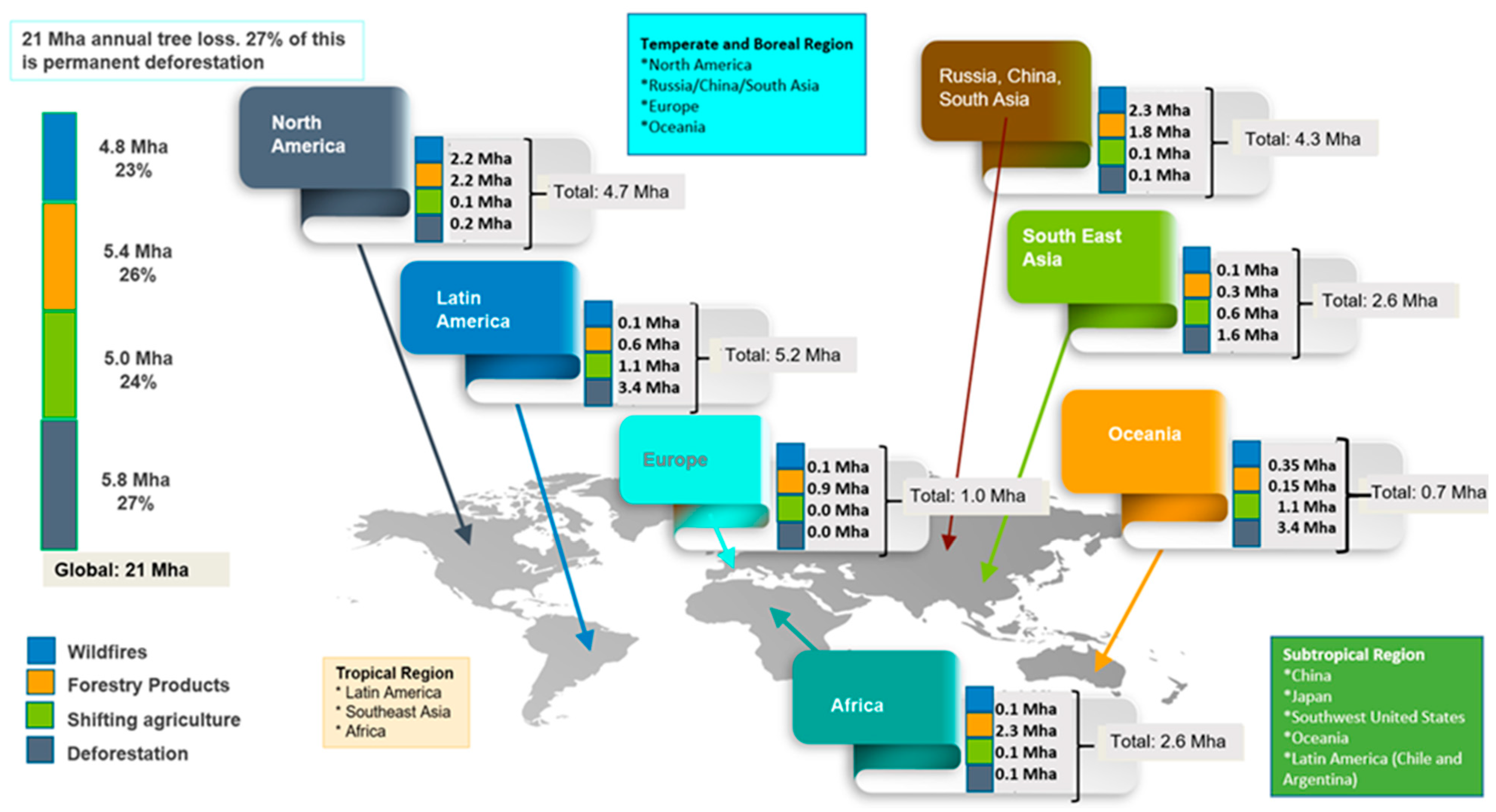Plants 13 01231 g001