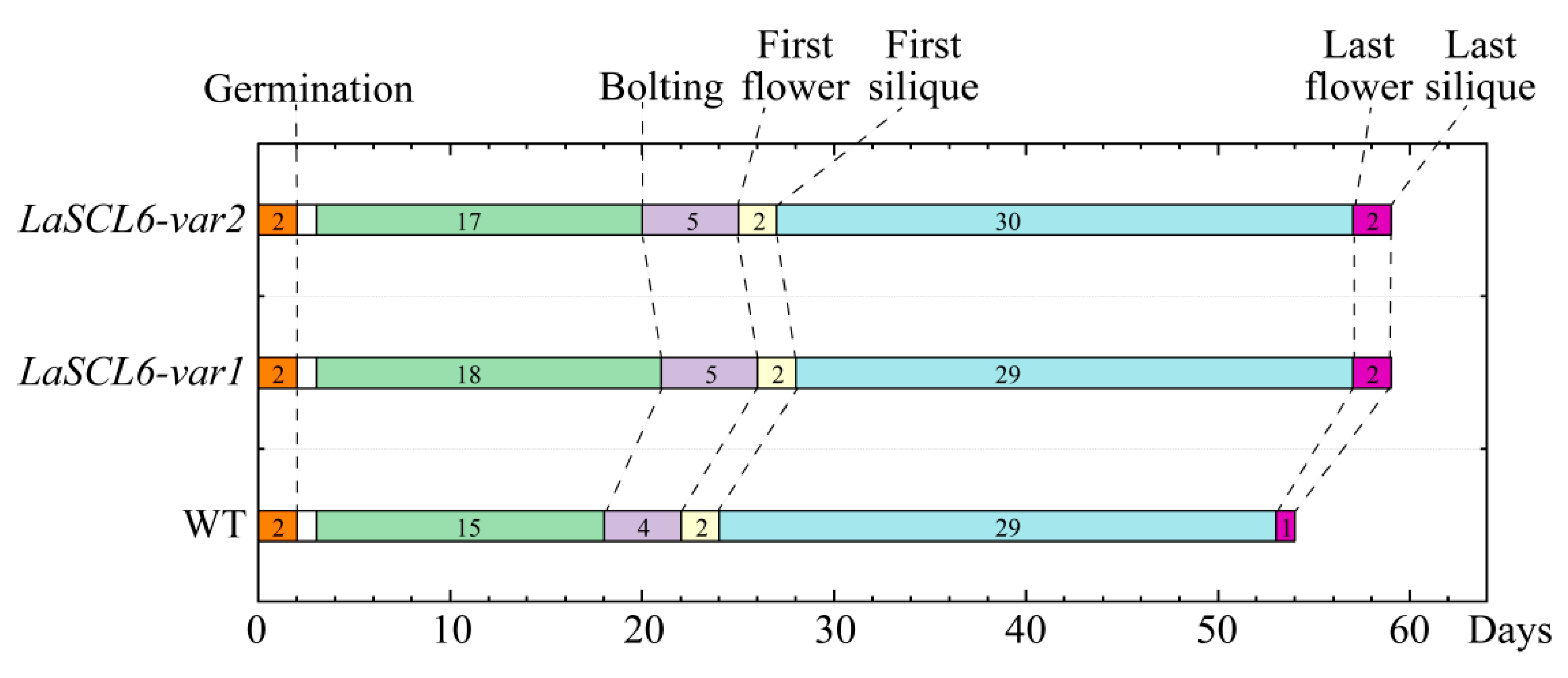 Plants 13 01232 g010