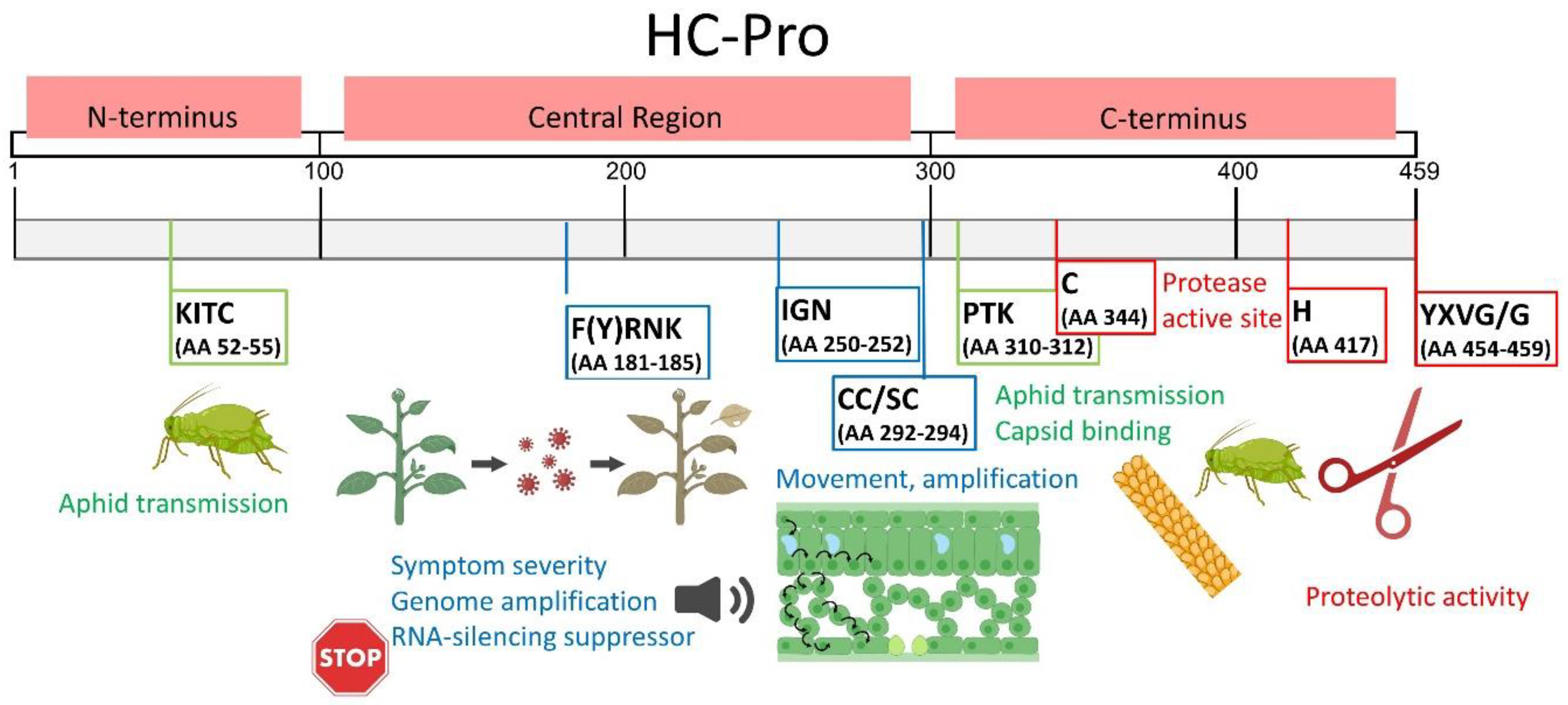 Plants 13 01236 g002