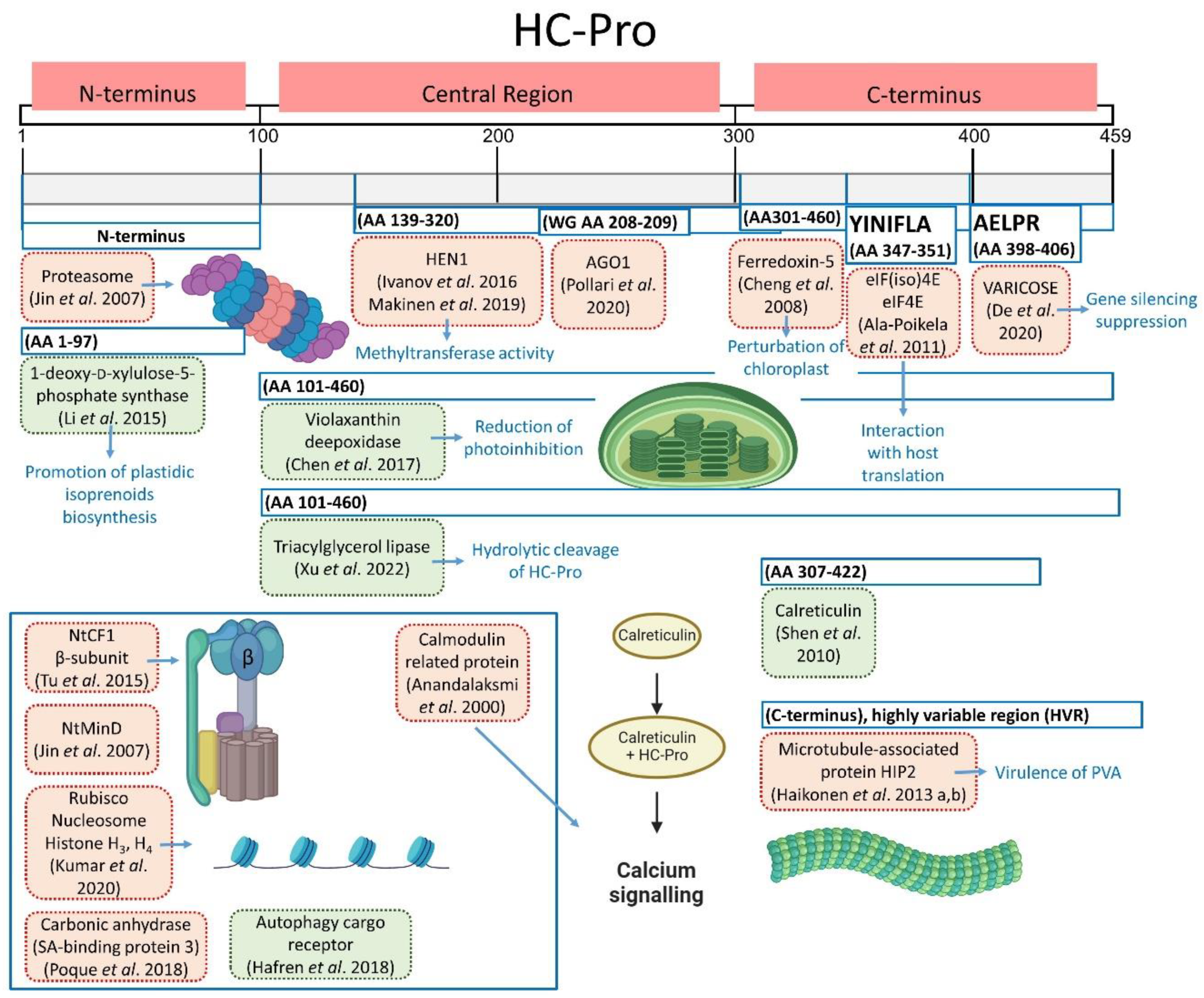 Plants 13 01236 g005