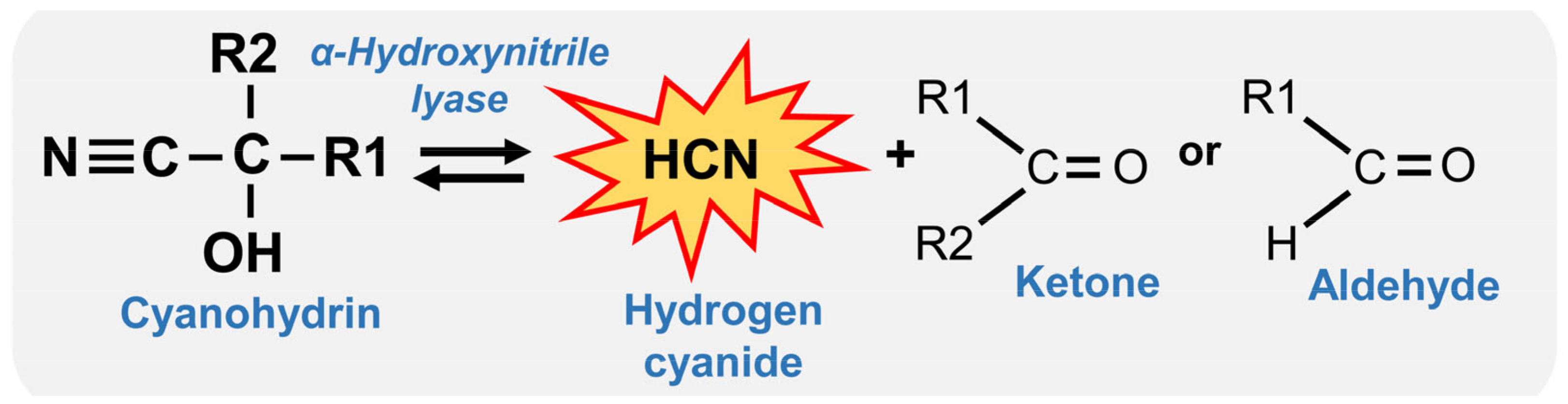 Plants 13 01239 g001