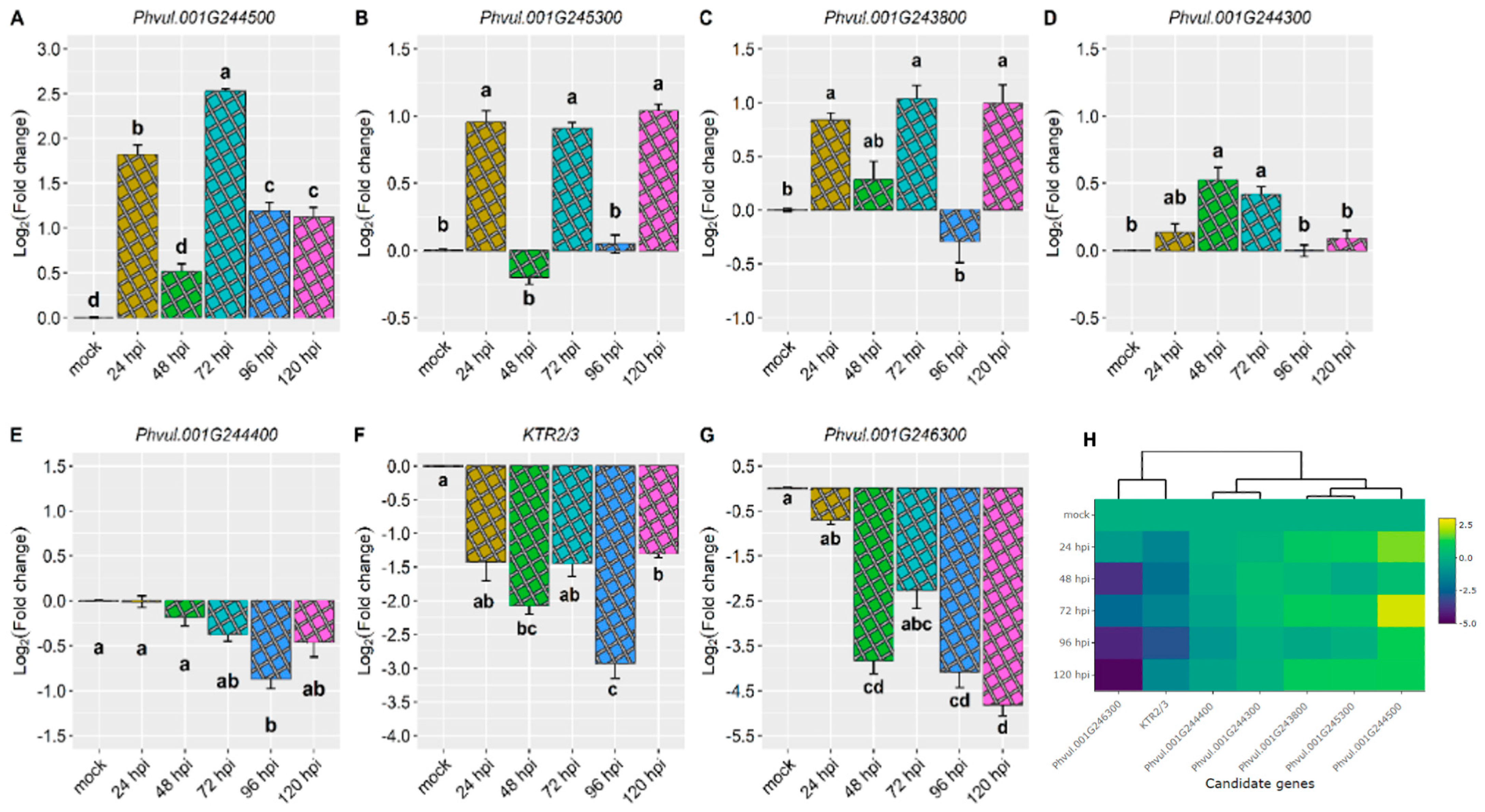 Plants 13 01245 g002