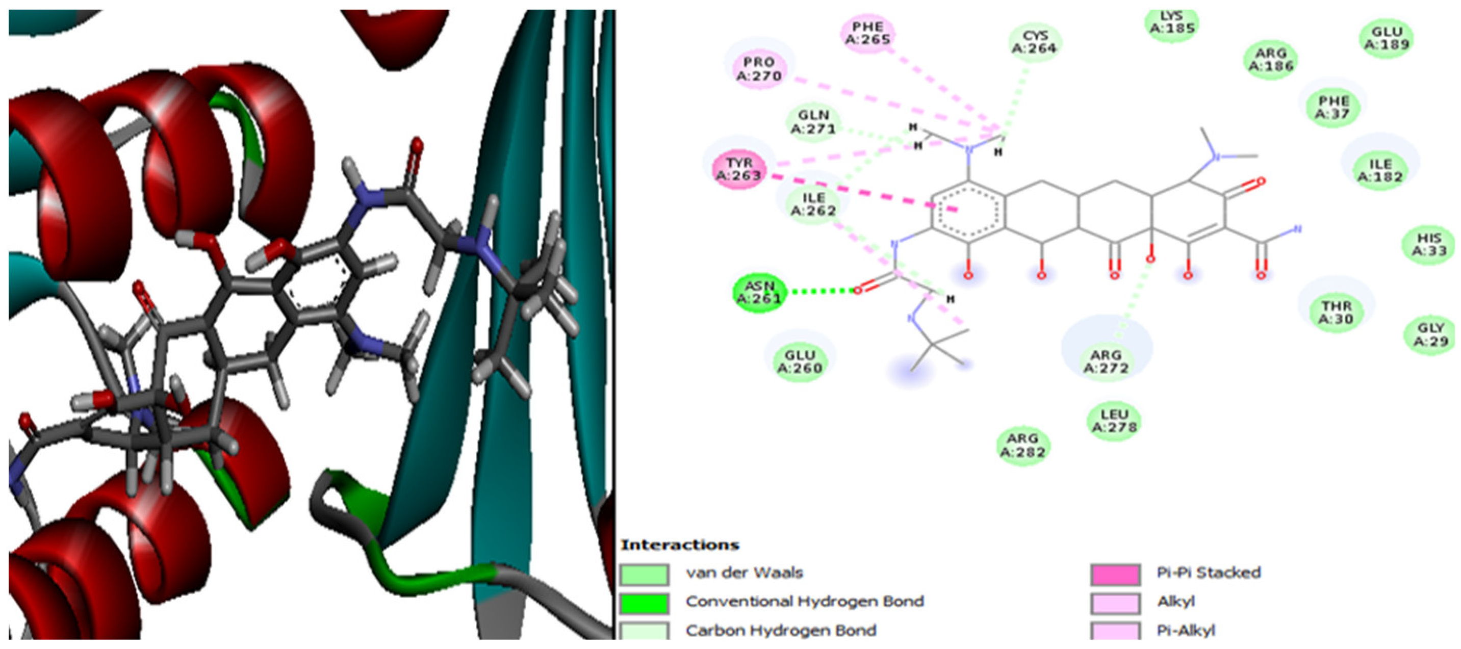Plants 13 01246 g004