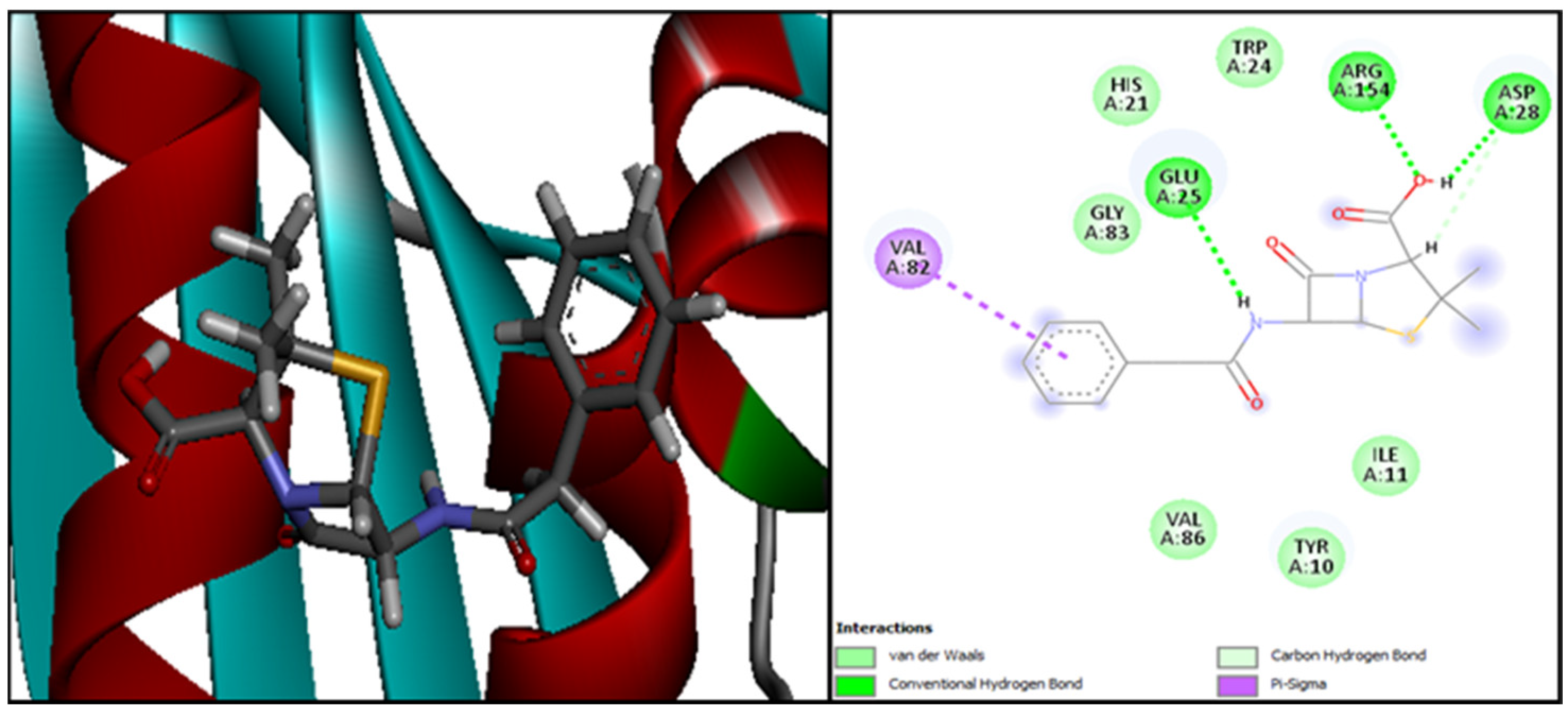 Plants 13 01246 g006