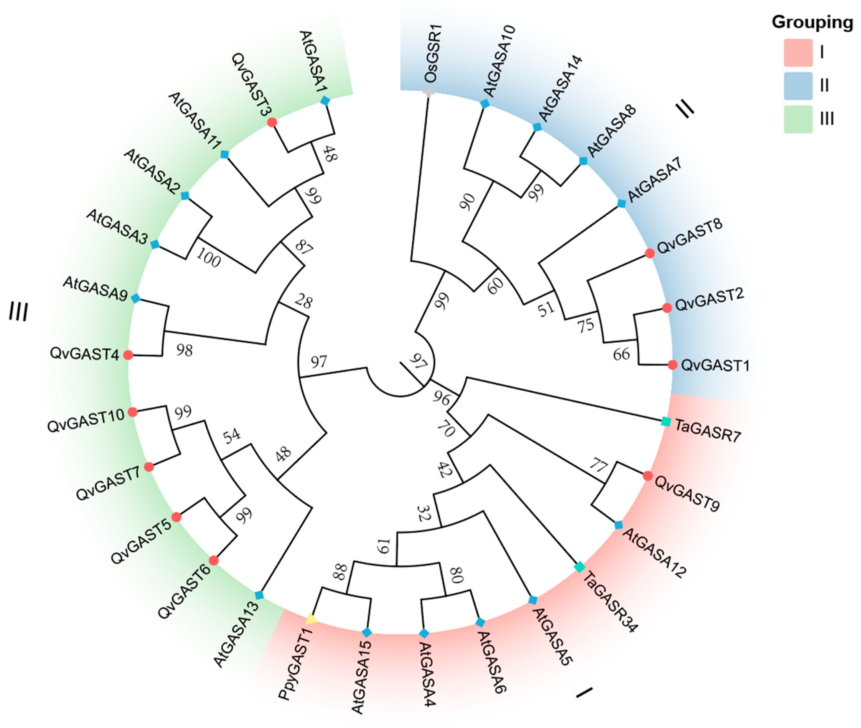 Plants 13 01247 g002