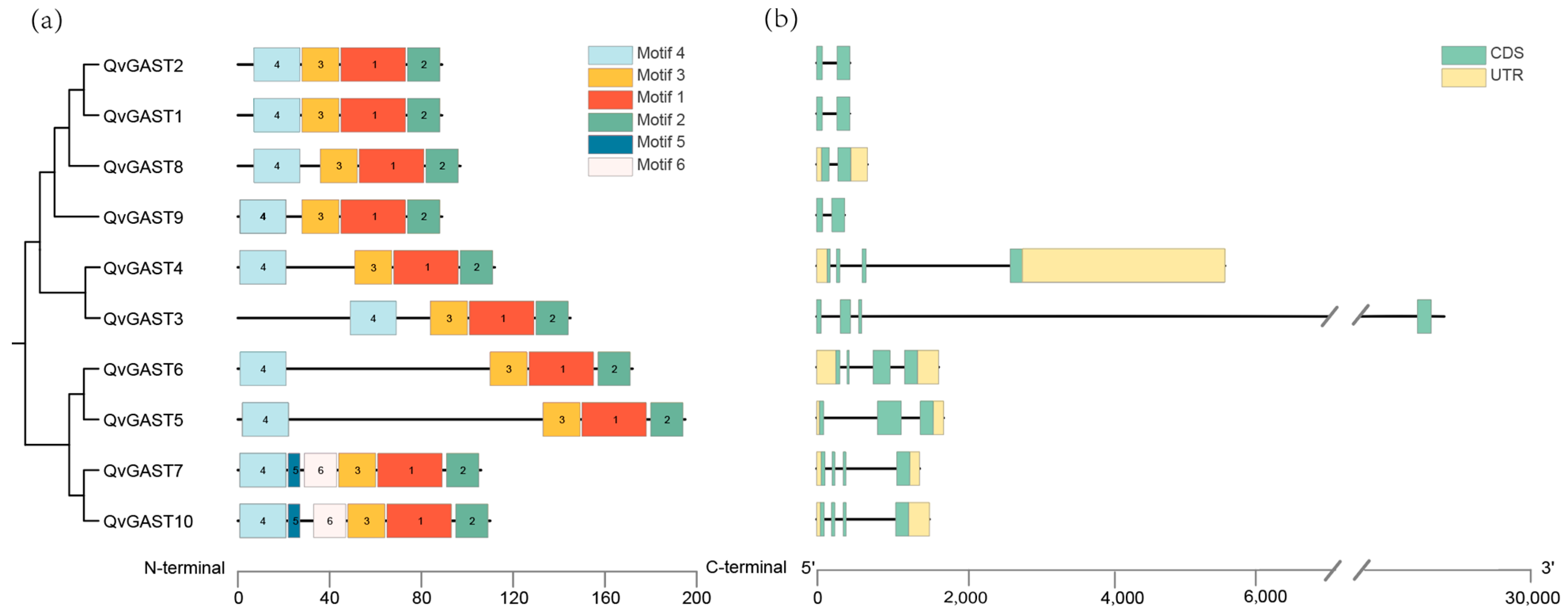 Plants 13 01247 g003
