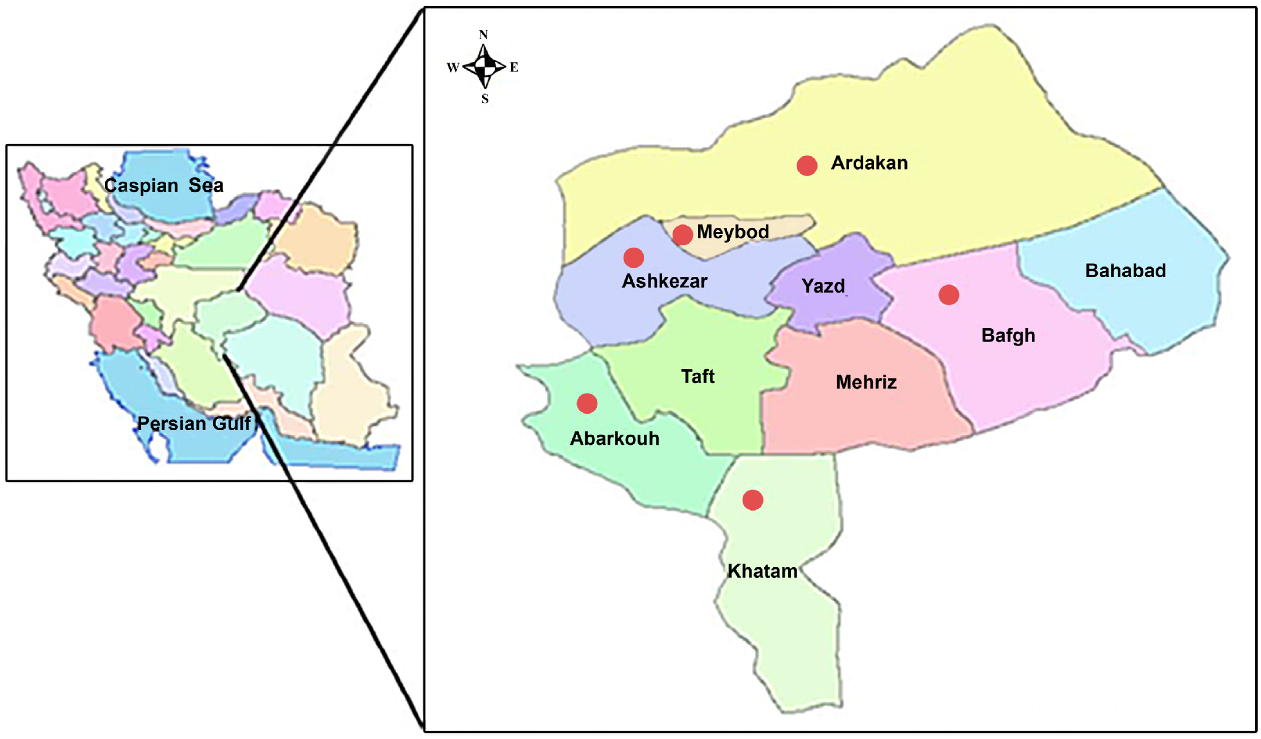 Plants 13 01248 g001