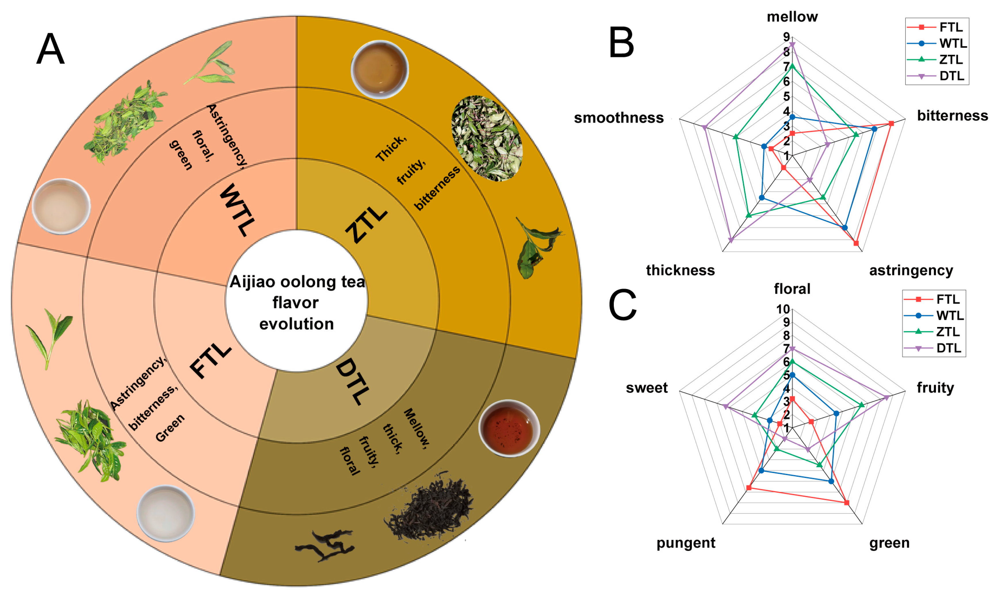 Plants 13 01249 g001