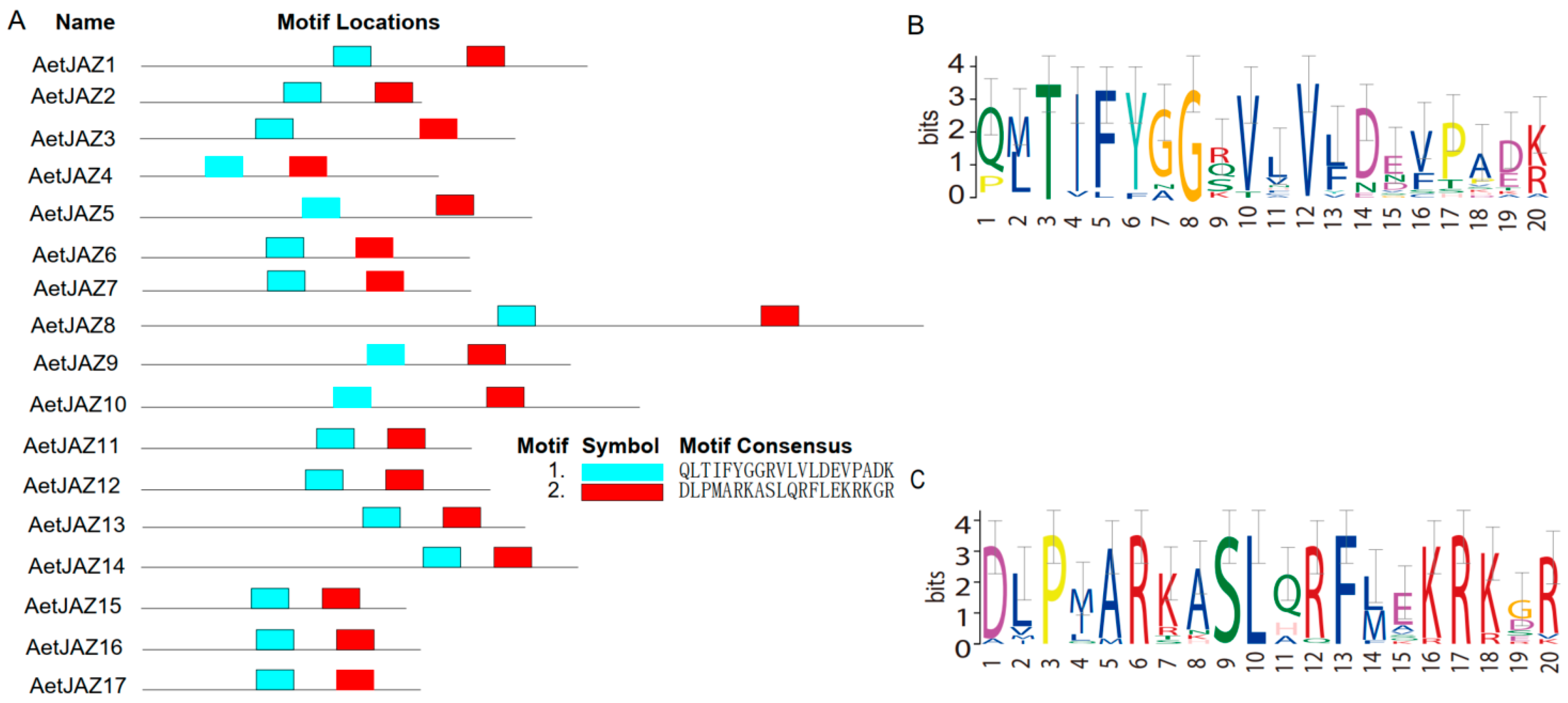 Plants 13 01259 g001