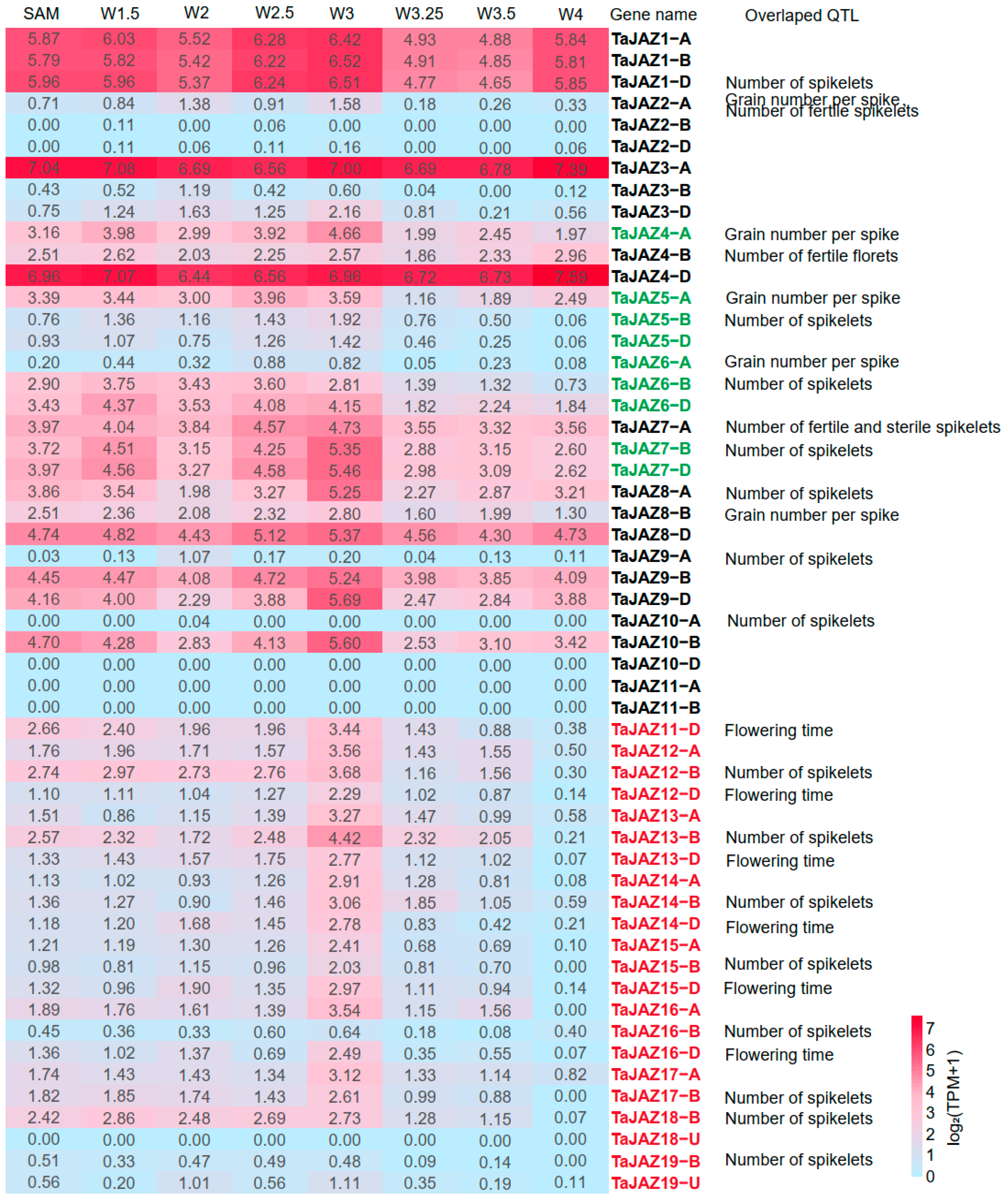 Plants 13 01259 g006