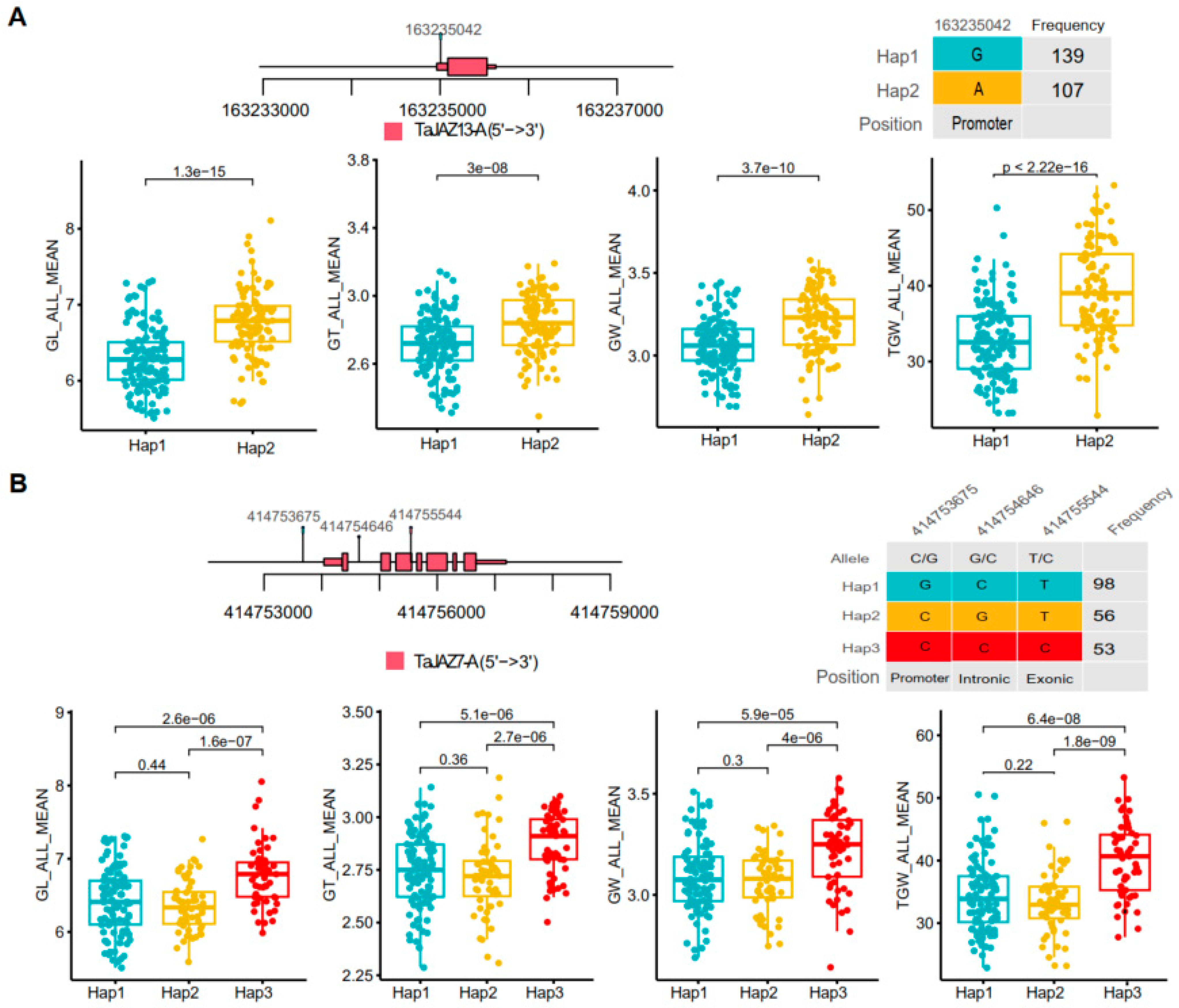 Plants 13 01259 g007