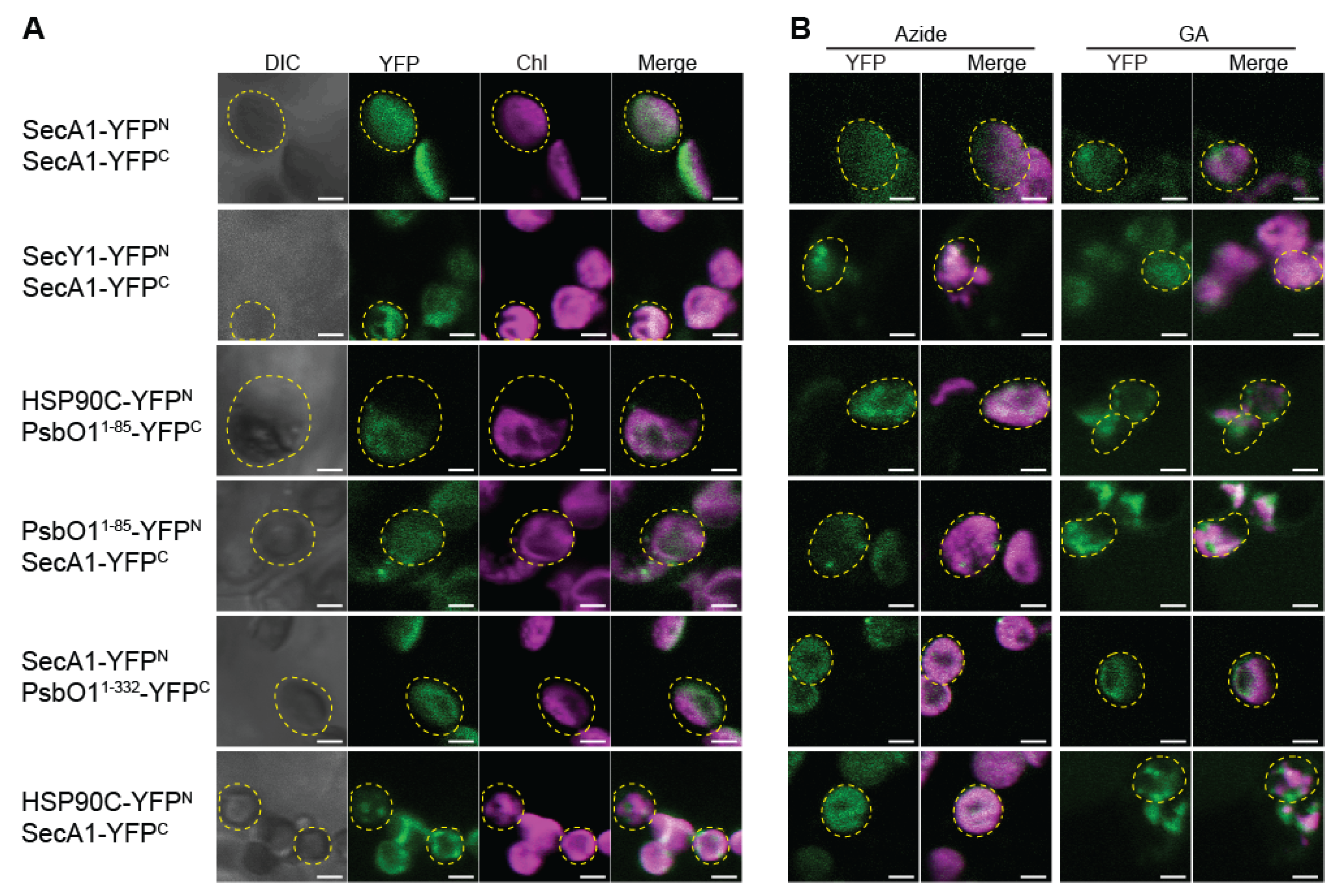 Plants 13 01265 g002