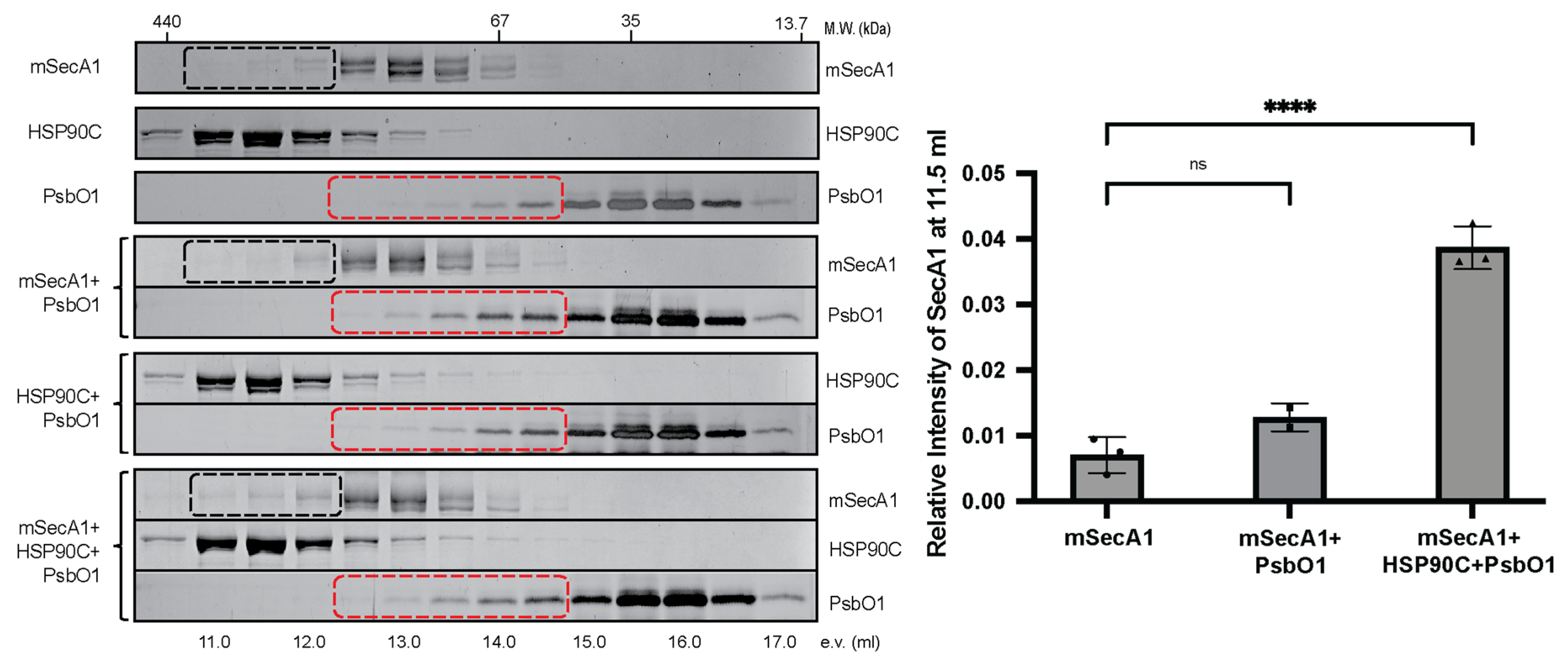 Plants 13 01265 g003