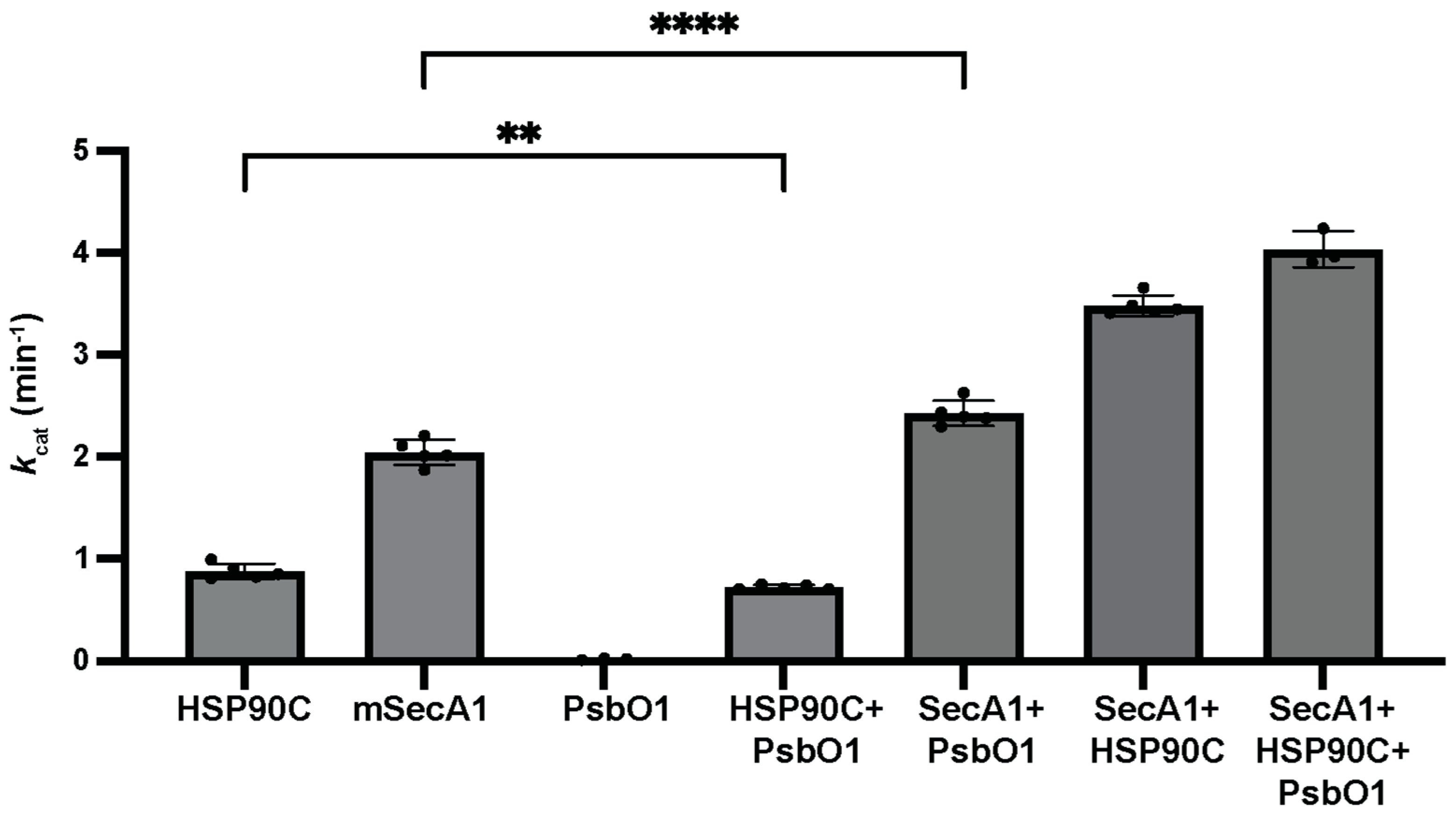 Plants 13 01265 g004